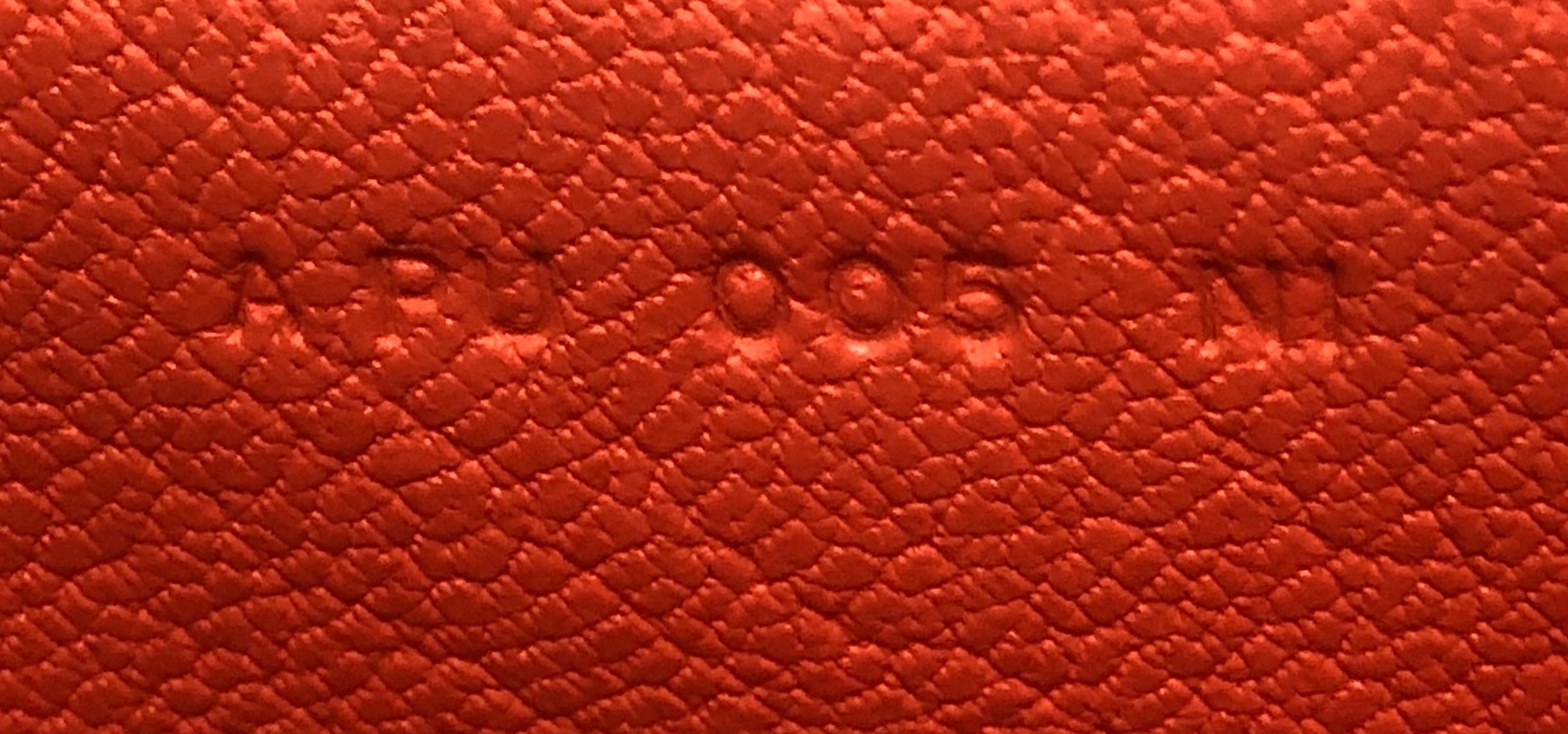 Women's or Men's Hermes Opli Bag Novillo 24
