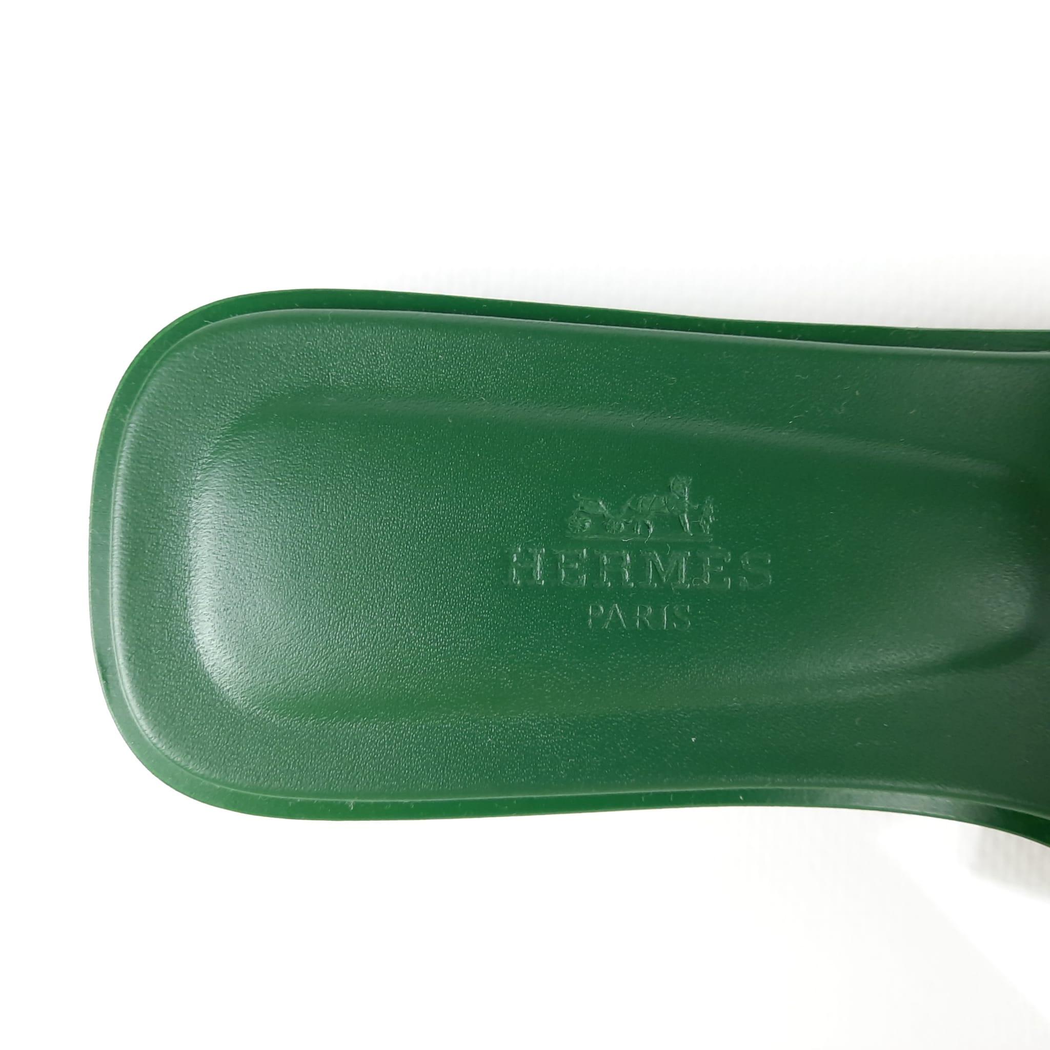 hermes oran vert cactus