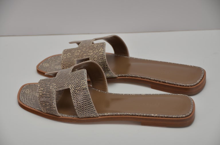 hermes lizard oran