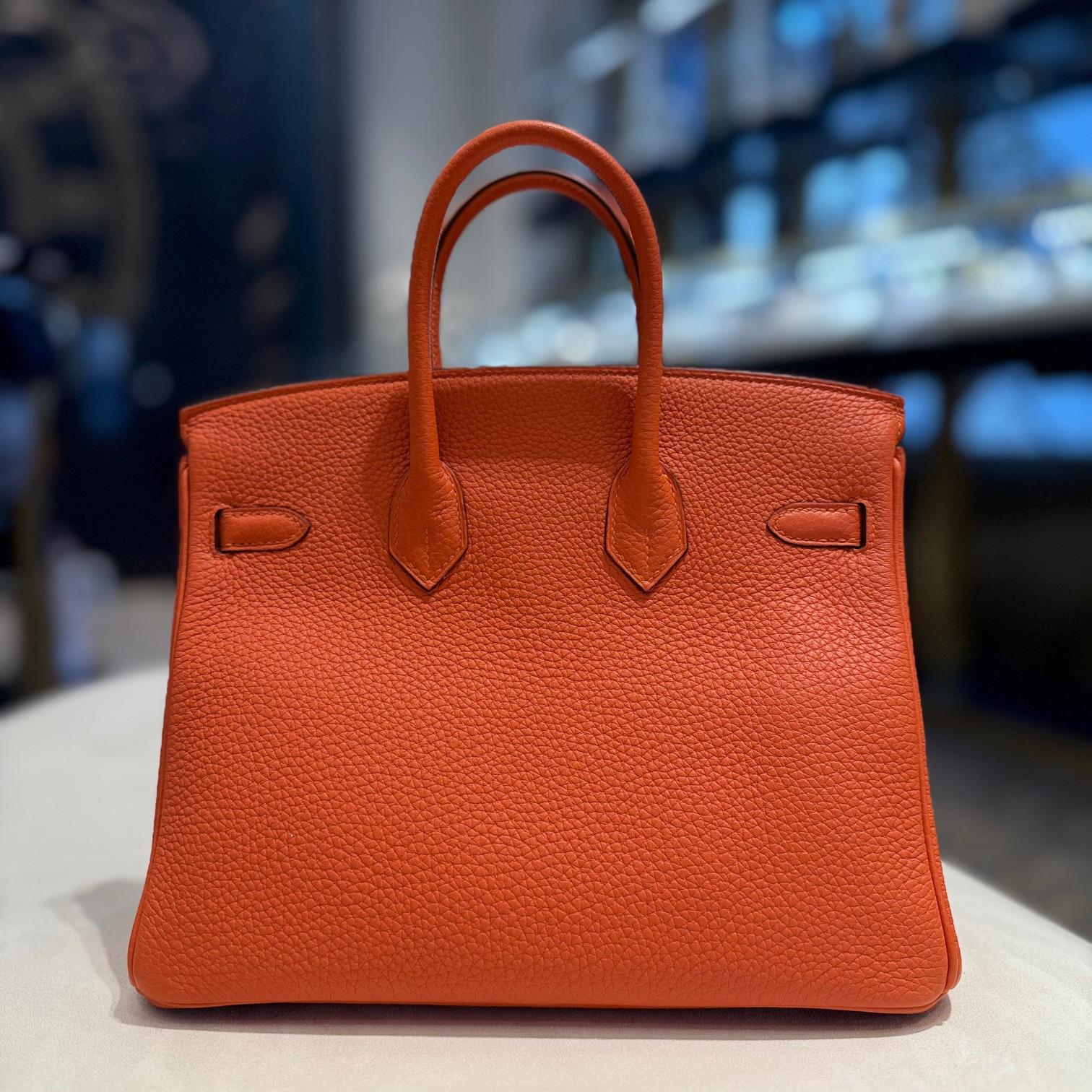 Hermès Orange Birkin 25 Togo Leder Palladium Hardware (Rot) im Angebot