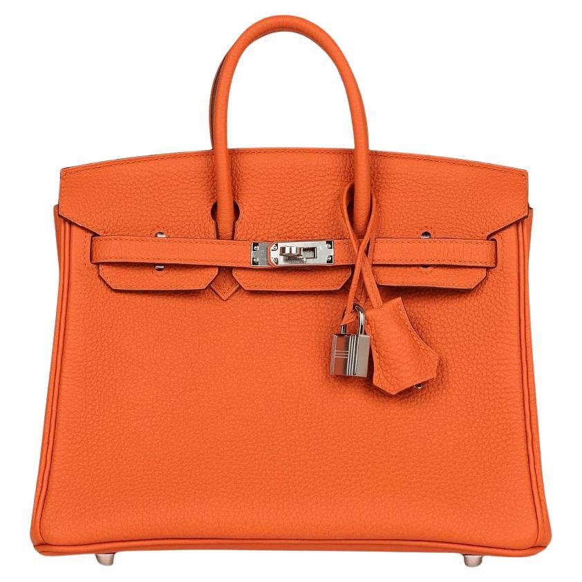 Hermès Orange Birkin 25 Togo Leder Palladium Hardware im Angebot