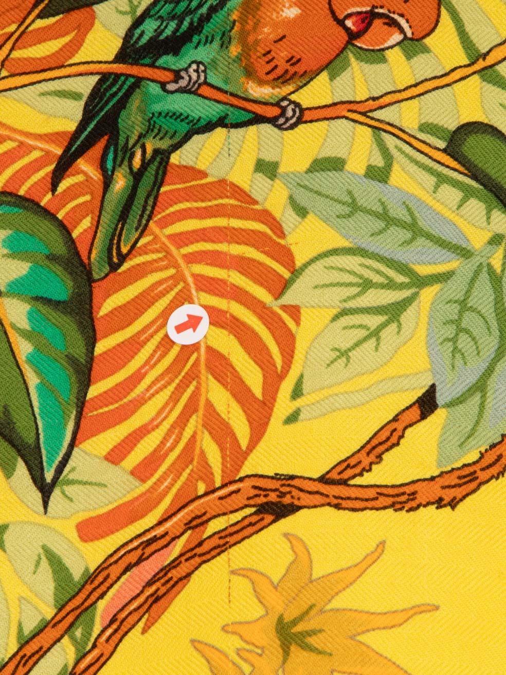 Hermès Bufanda Jungle Love Cachemira Naranja 6