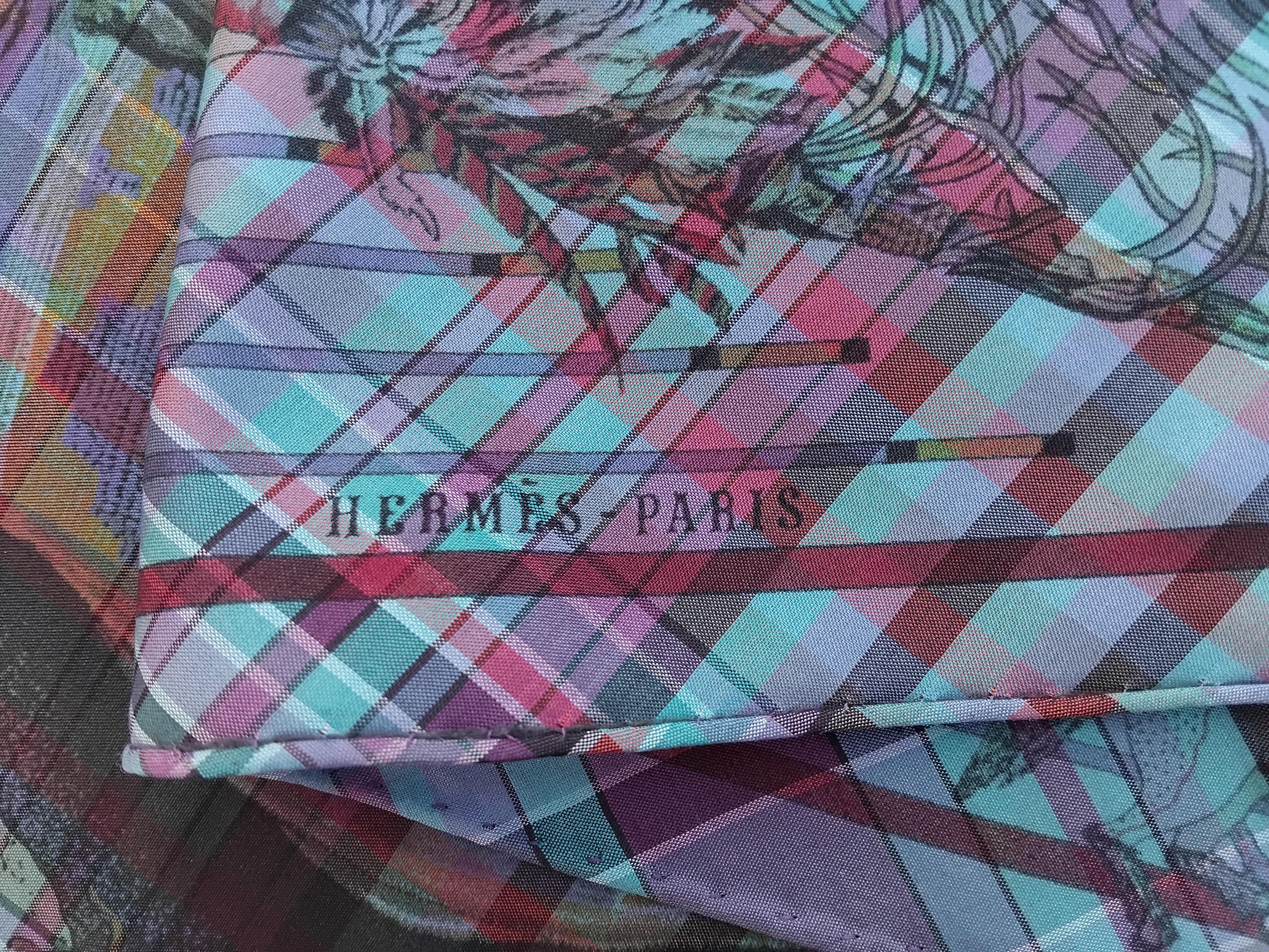 Hermès Pani La Shar Pawnee Silk Scarf Pointu Madras Charms Kermit Oliver For Sale 13