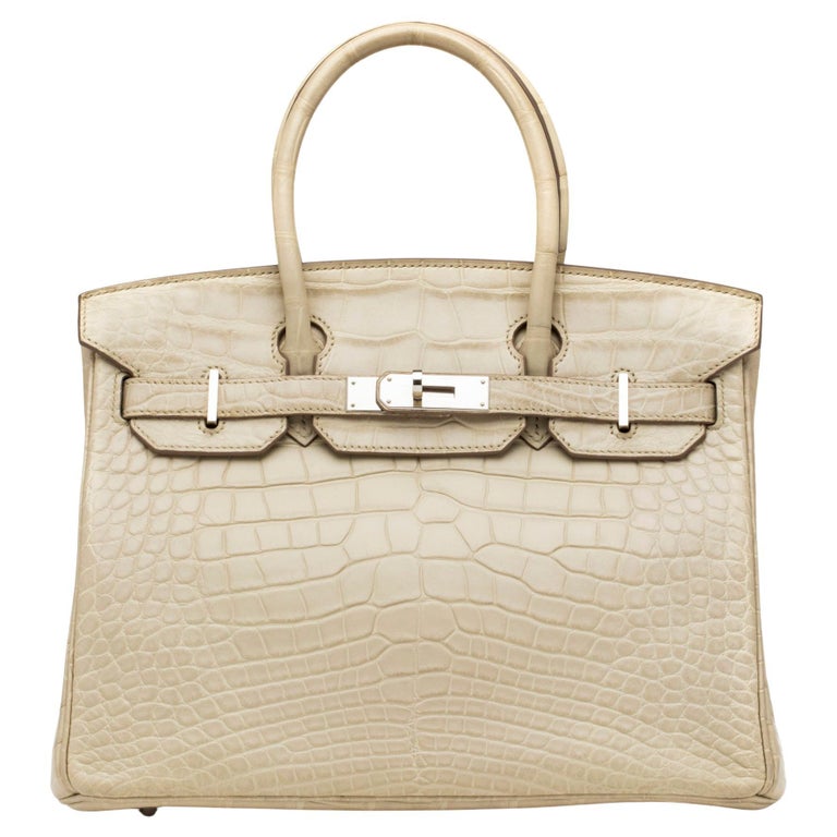 Had the Opportunity to Aquire this Crocodile Hermès Birkin Bag, in