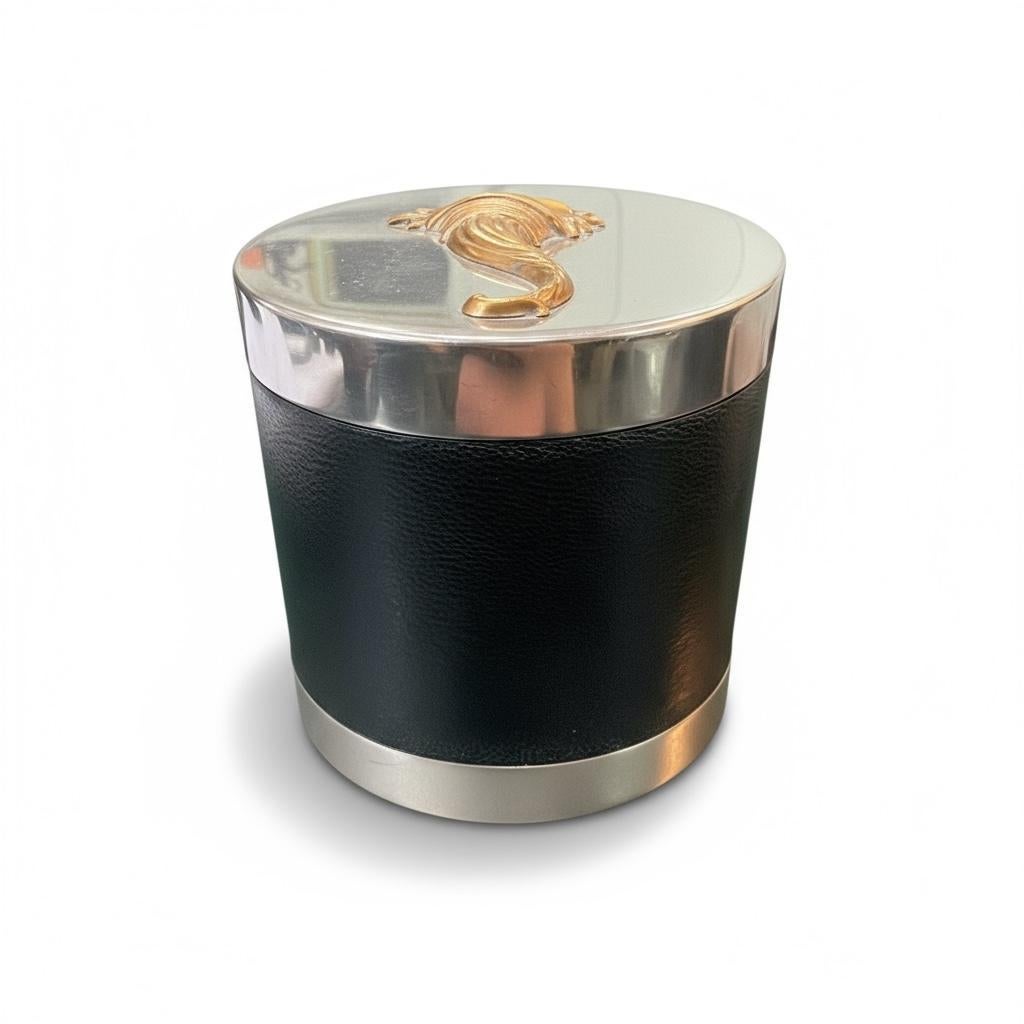 Women's Hermès Paris Cornucopia Leather Box, Silver-Plated – 1970 For Sale