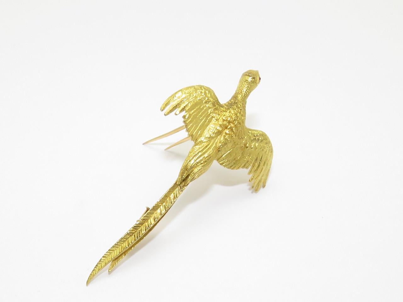18k Yellow Gold and Ruby Eye Pheasant Bird brooch ,
measuring 65 mm in length and 37 mm in width.
Weight: 12.8 grams

Signed 