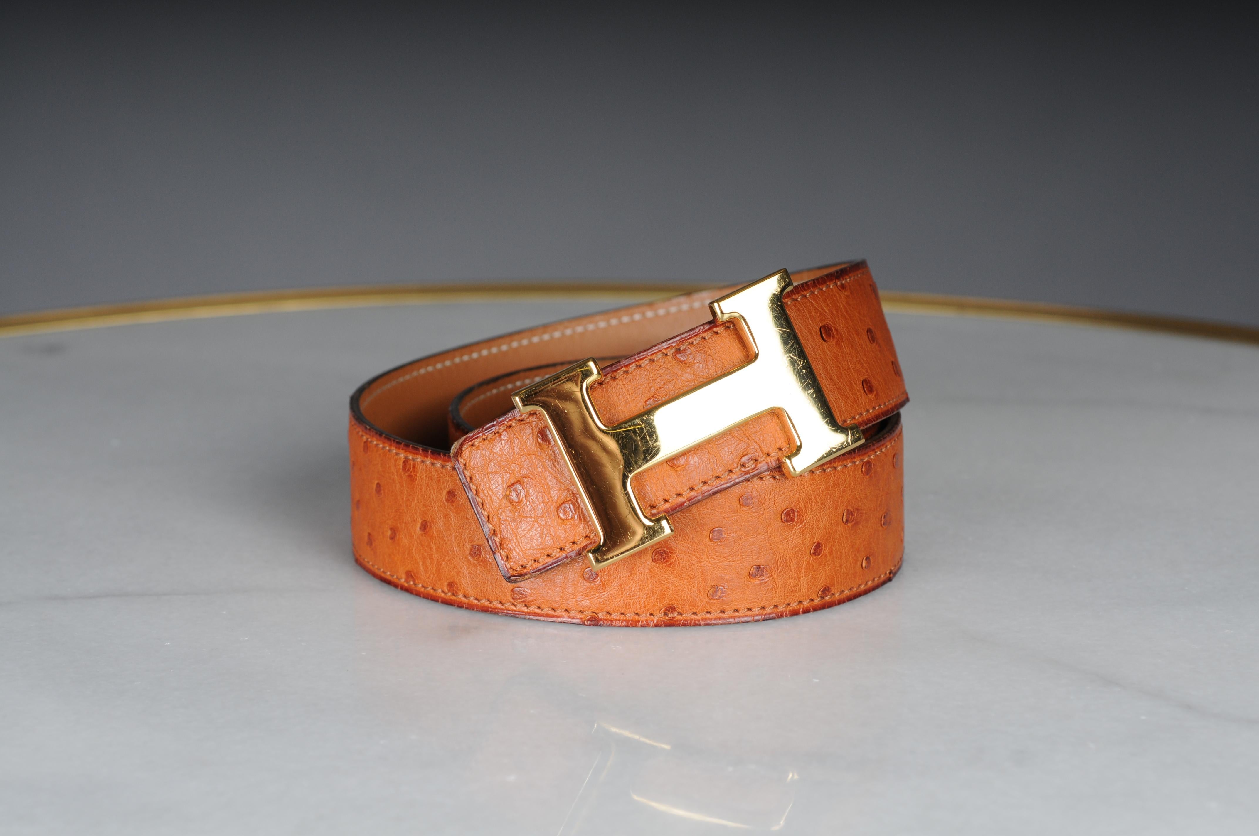Hermes Paris interchangeable ostrich leather belt for  Gold H buckle belt For Sale 1