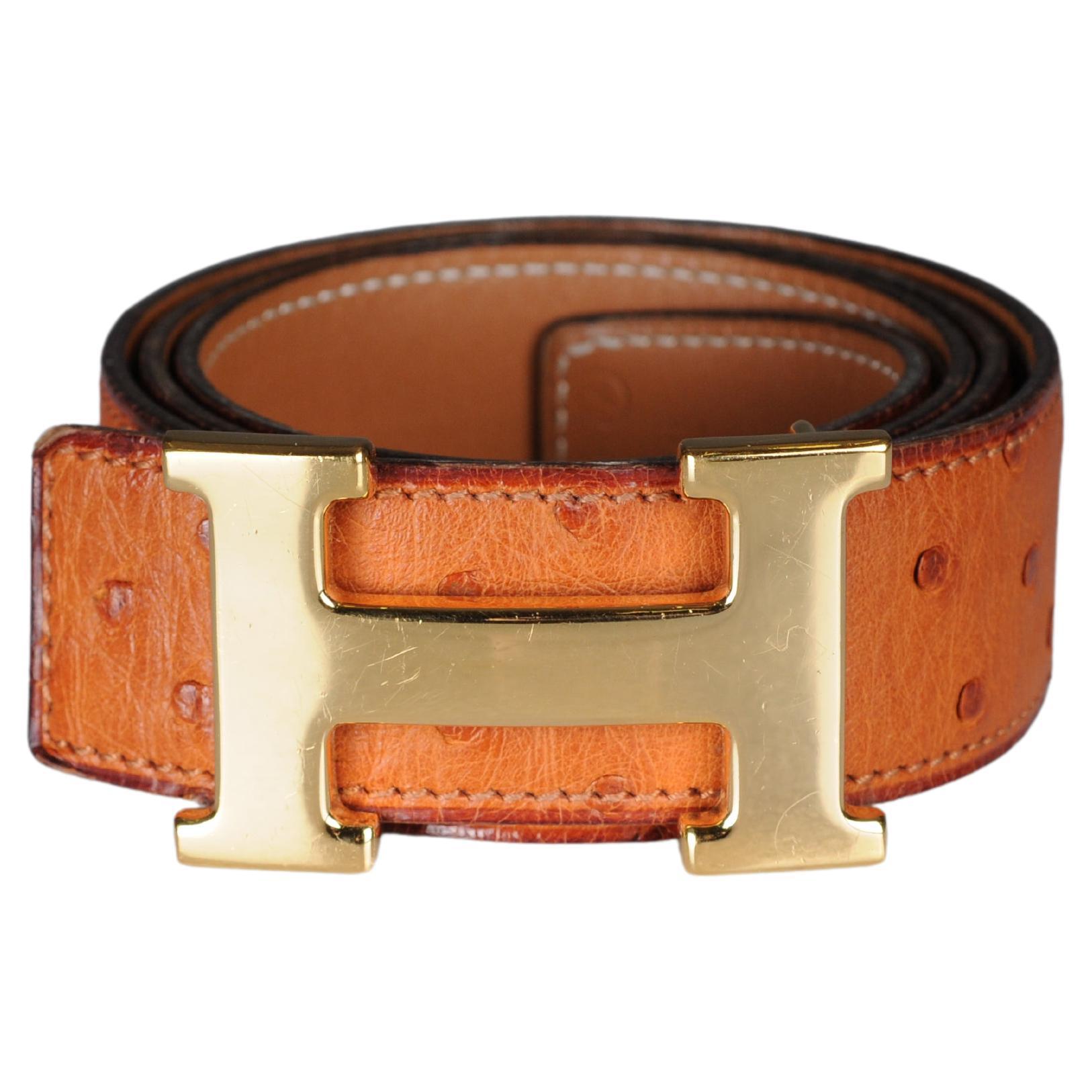 Hermes Paris interchangeable ostrich leather belt for  Gold H buckle belt For Sale