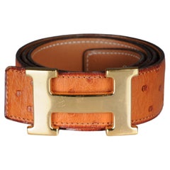 Hermes Paris interchangeable ostrich leather belt for  Gold H buckle belt