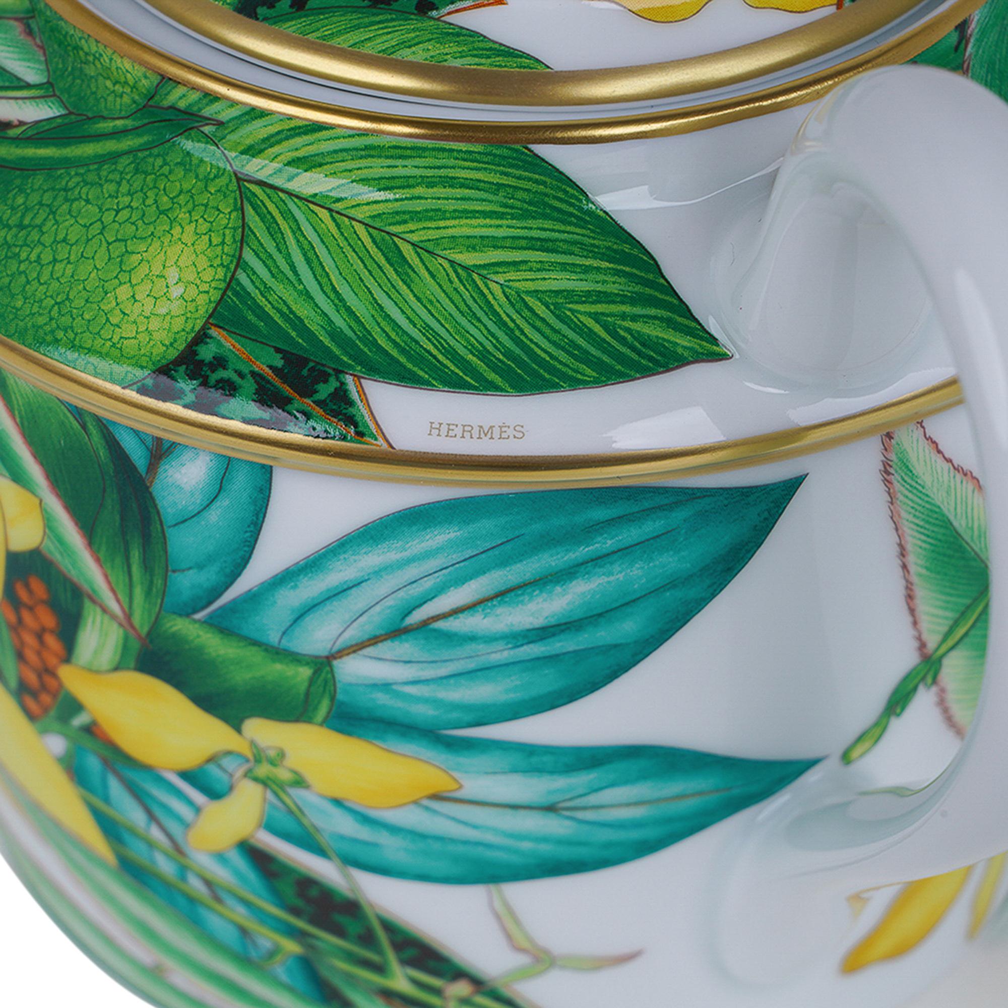 Hermes Passifolia Teapot Limoges Porcelain New w/Box 4