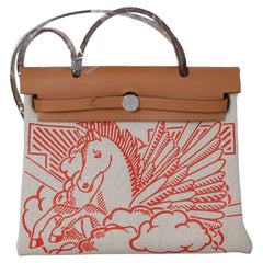 Hermes Pegasus Pop Herbag Zip 31 Capucine Red