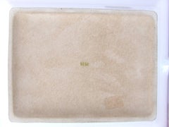 Hermes Printed Porcelain Cigar Ashtray Change Tray Lion Pattern  20 cm