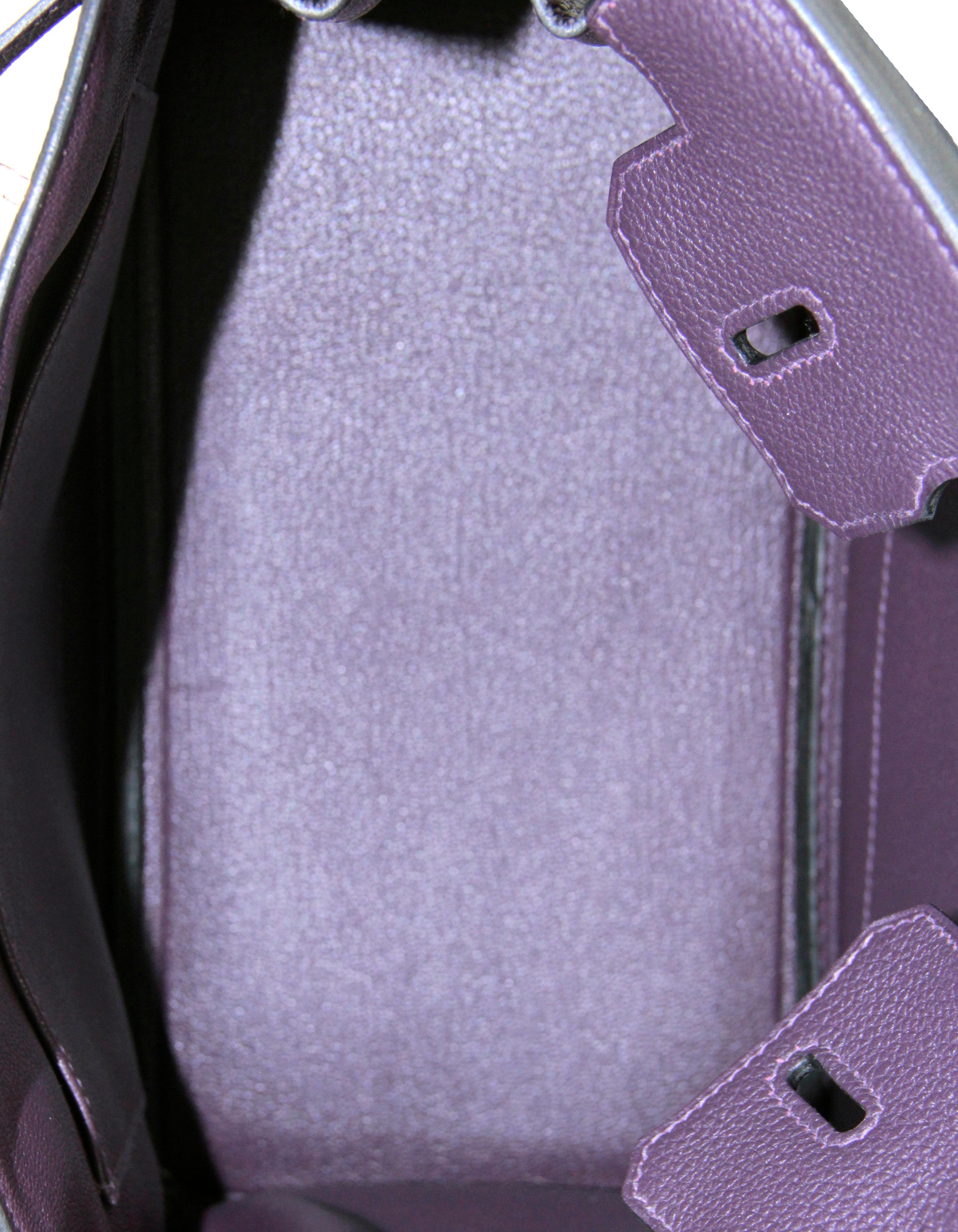 Hermes Raisin Purple Togo Leather 25cm Birkin Bag w/ Box, Dustbag & Raincoat  2
