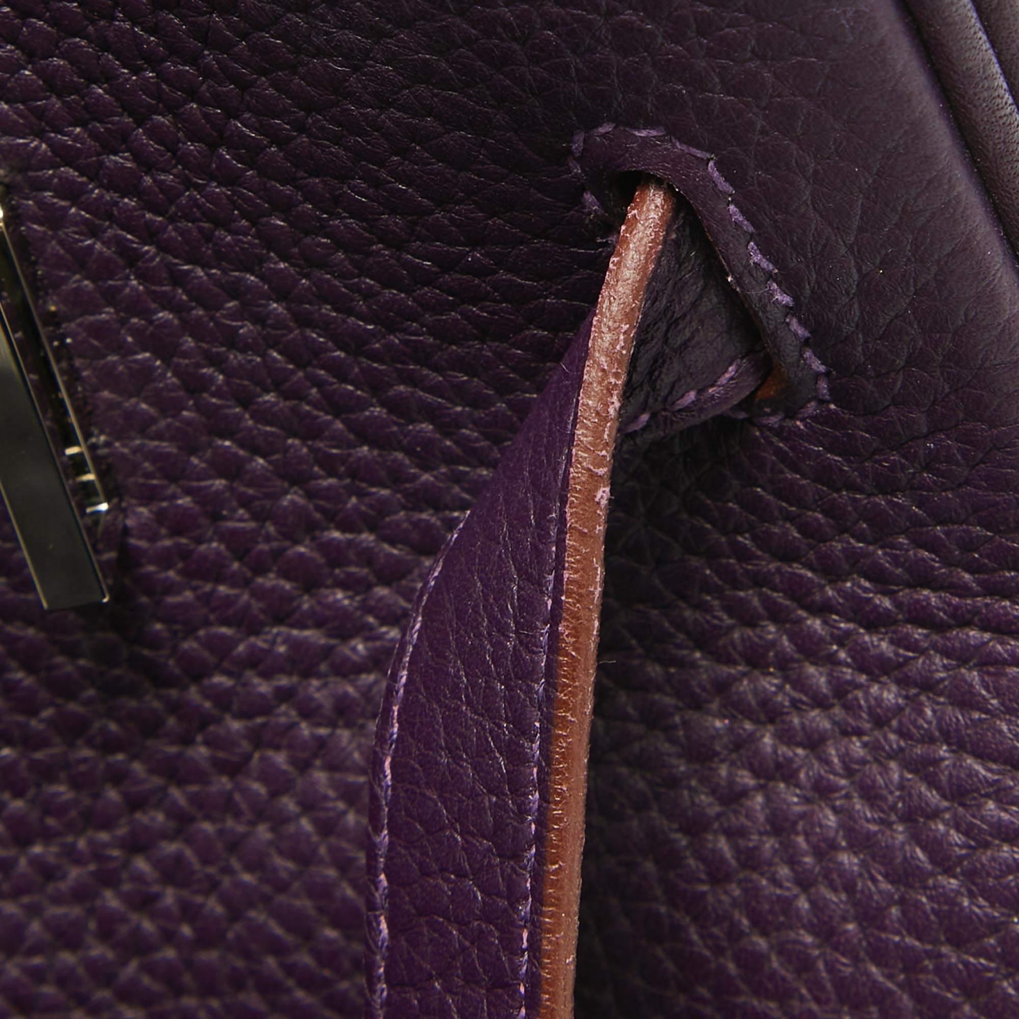 Hermes Raisin Taurillon Clemence Leather Palladium Finish Birkin 35 Bag For Sale 5