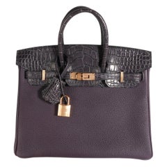 Hermès Raisin Togo & Prunoir Matte Alligator Touch Birkin 25 RGHW