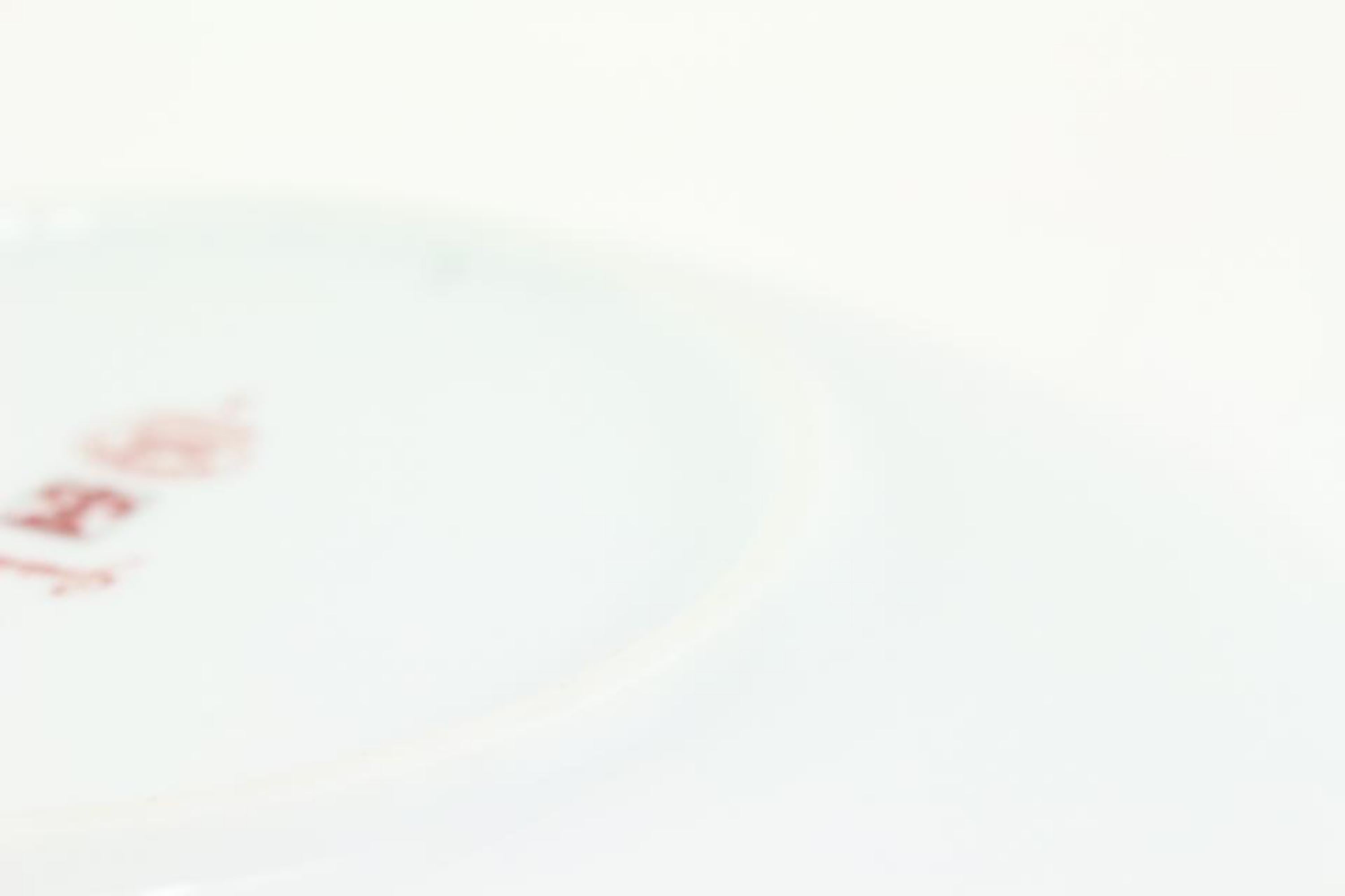 Hermès Red x White Balcon du Guadalquivir Plate 1029h41 2
