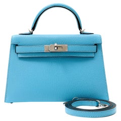 Hermès Robin''s Egg Blue Chevre 20 cm Mini Kelly