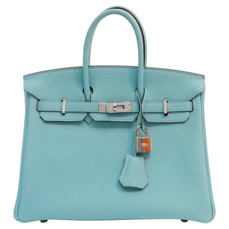 Hermès Robin’s Egg Blue Togo Leather 25 cm Birkin Bag For Sale at 1stDibs
