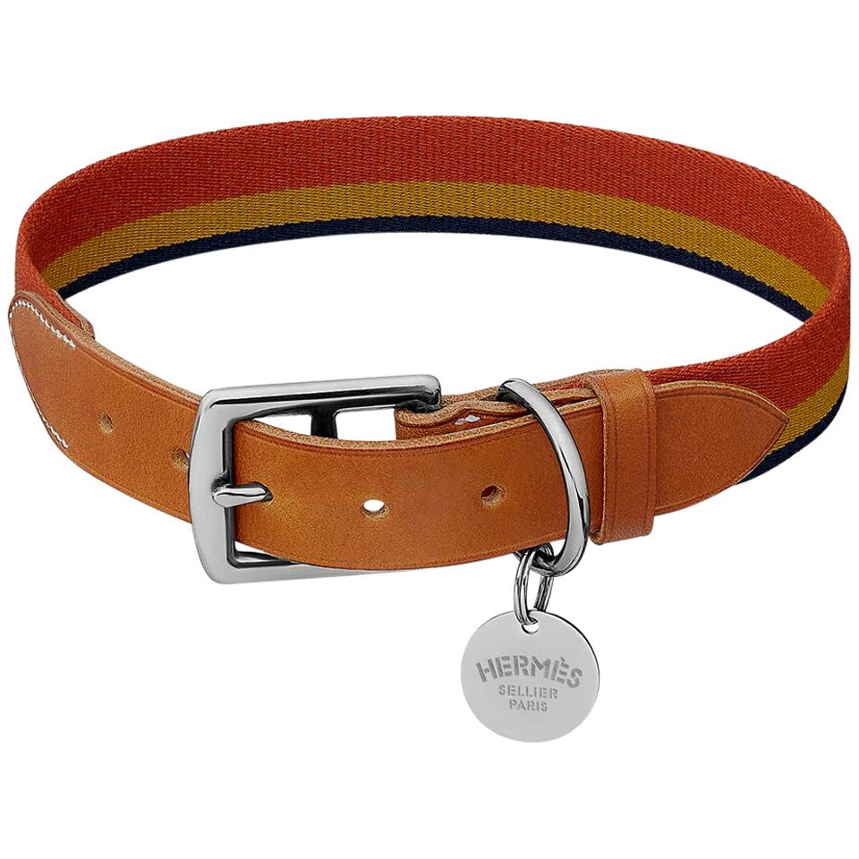 Guaranteed authentic Hermes Rocabar dog collar featured in the Small size.
Collar features signature Rocabar with iconic Hermes colors.
Buckle is stirrup shaped.
D ring for a leash.
Bridle leather with bone top stitch.
2cm Silver plated stainless