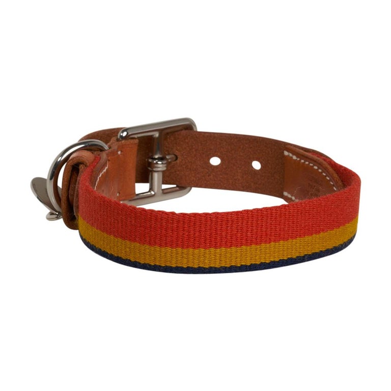 Hermes Rocabar Dog Collar Small Model w/ Leash New w/ Box For Sale at  1stDibs