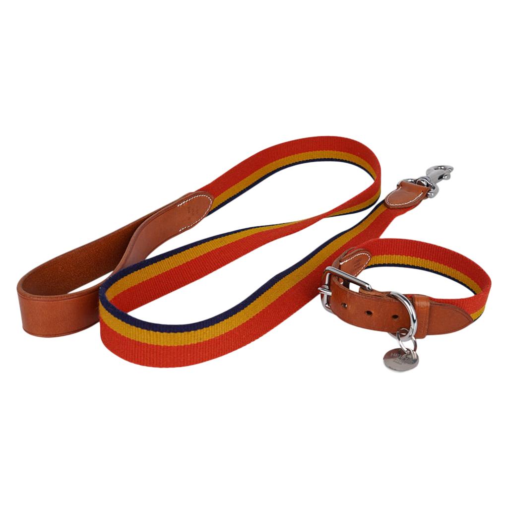 Hermes Rocabar Dog Collar Small Model w/ Leash New w/ Box