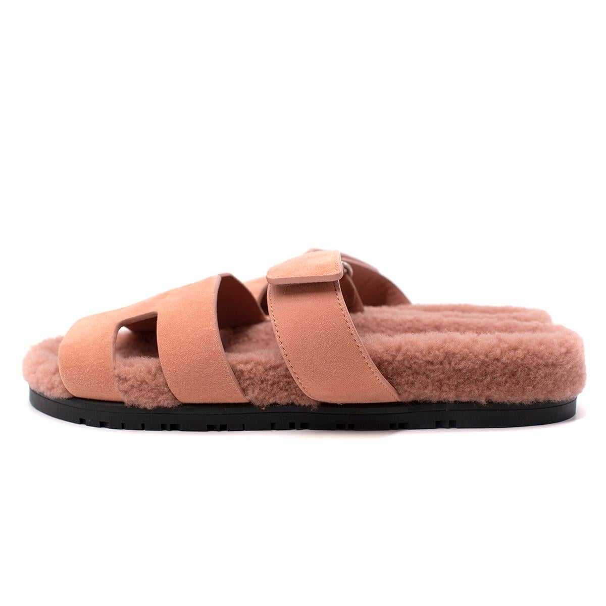 chypre shearling