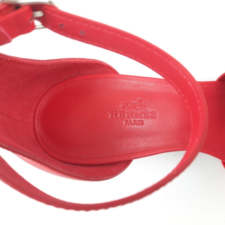 hermes rose cotinga