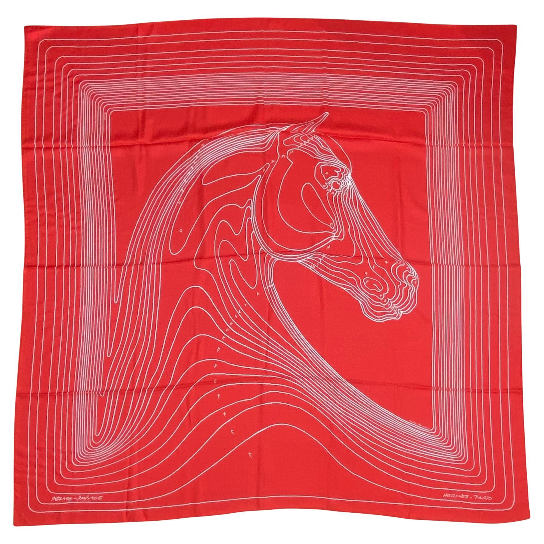 Hermes Rouge Coquelicot Pegase Paysage 140 Silk Cashmere Shawl For Sale