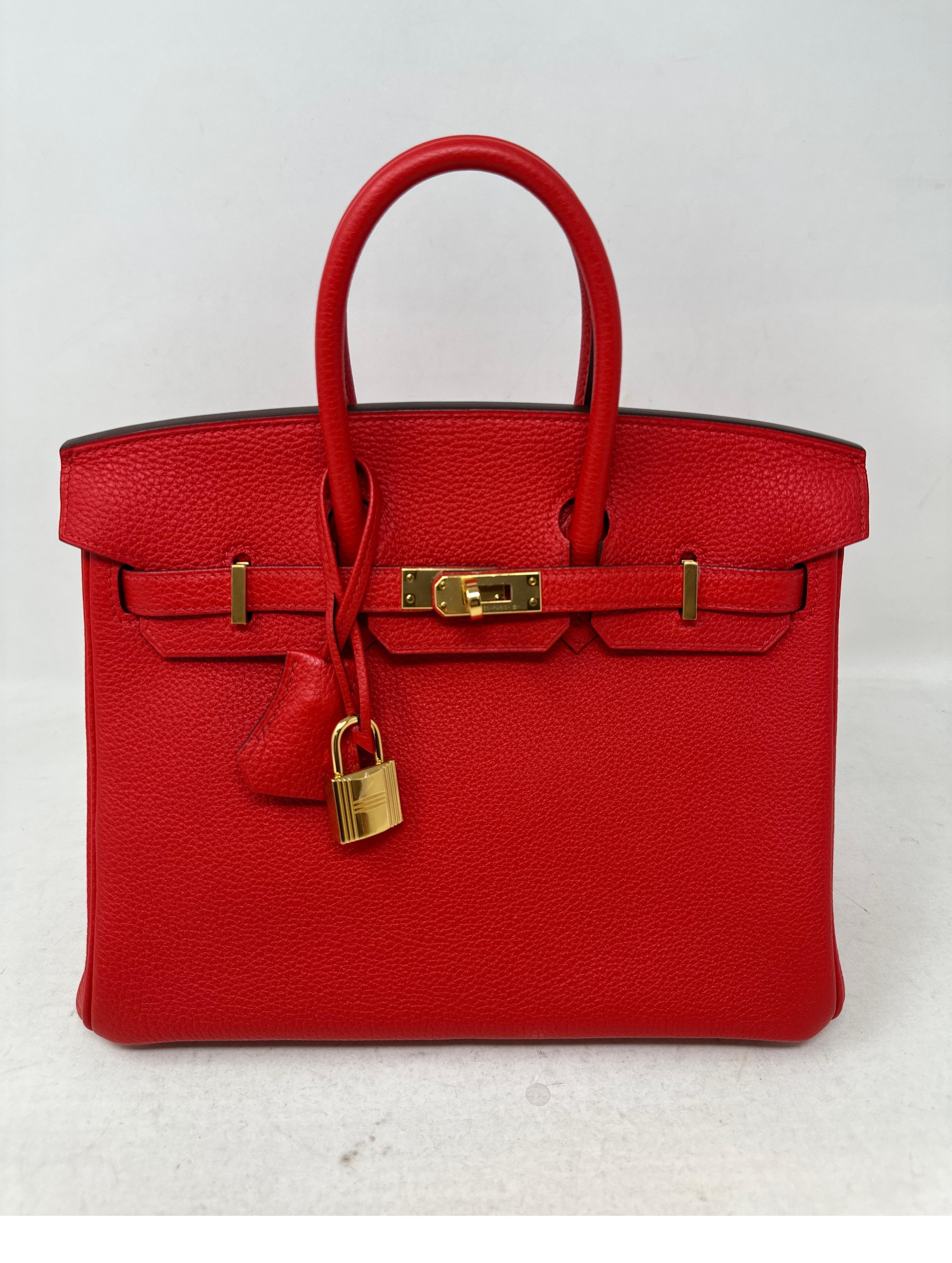 Hermes Rouge De Coeur Birkin 25 Bag 9