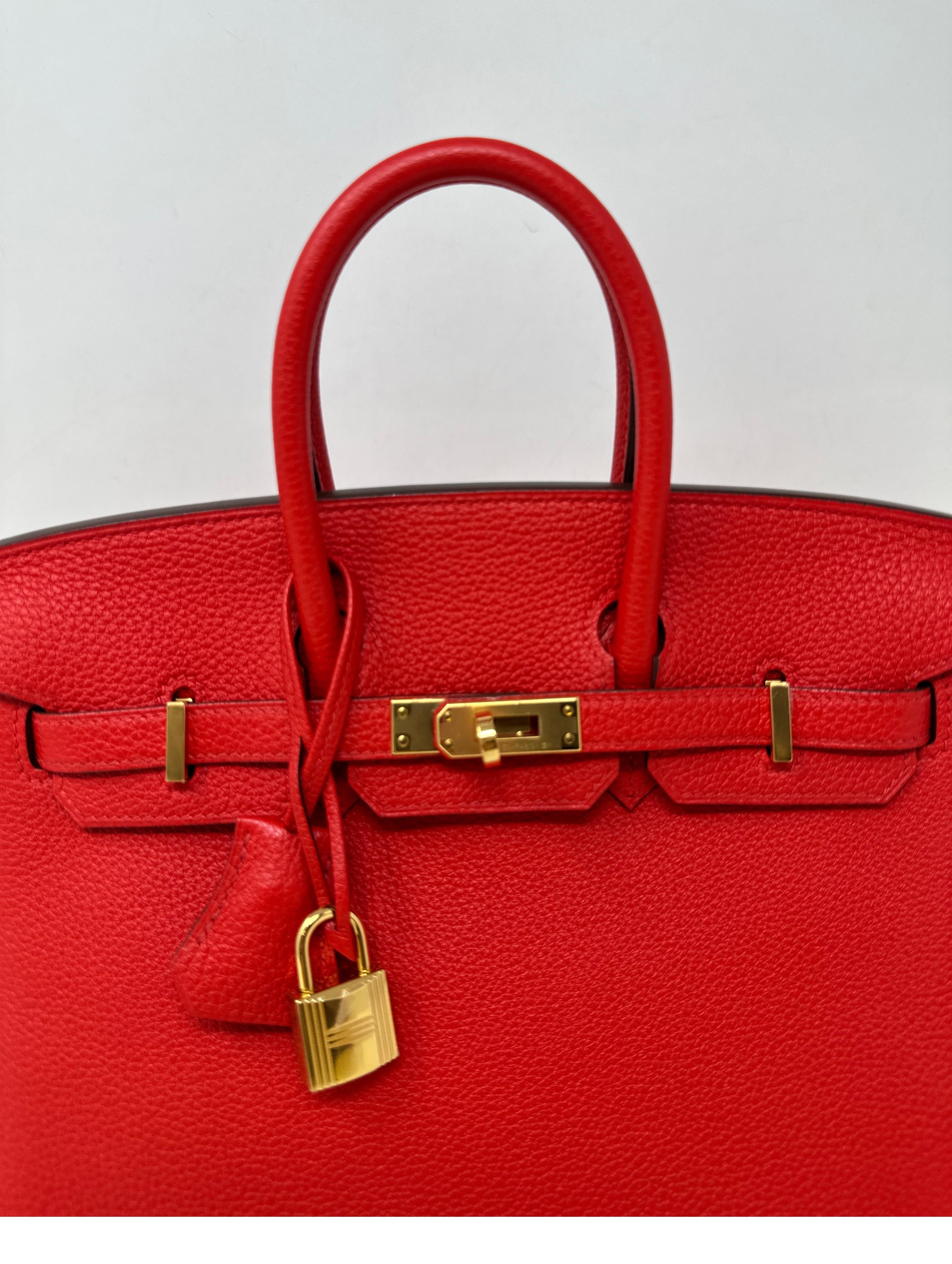 Hermes Rouge De Coeur Birkin 25 Bag 11