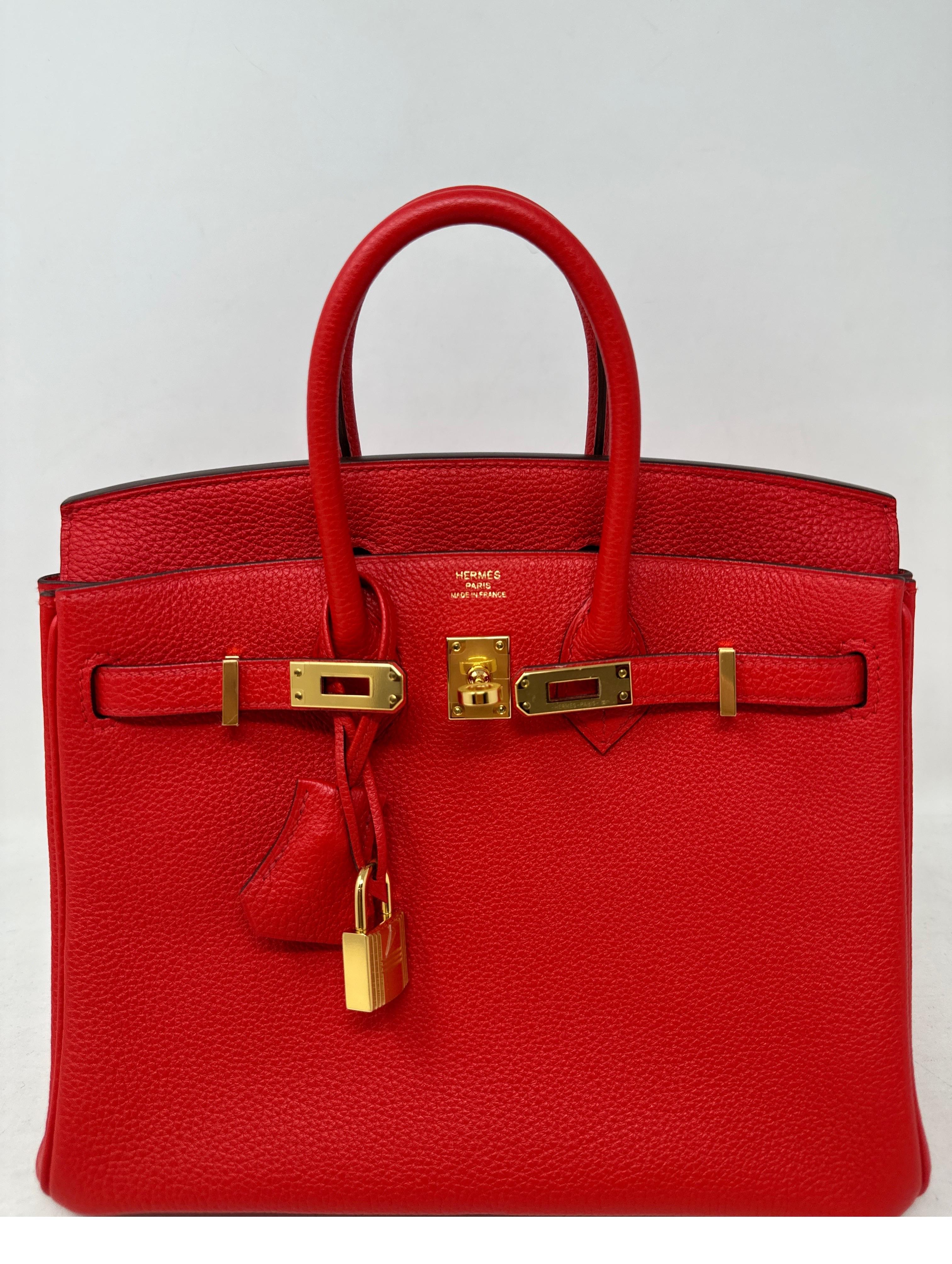 birkin size 25