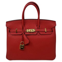 Hermes Rouge Pivoine Birkin 25 Bag 