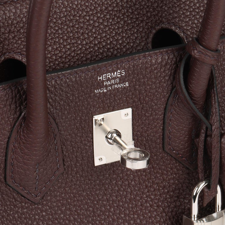 Hermes Birkin bag 25 Rouge sellier Togo leather Silver hardware