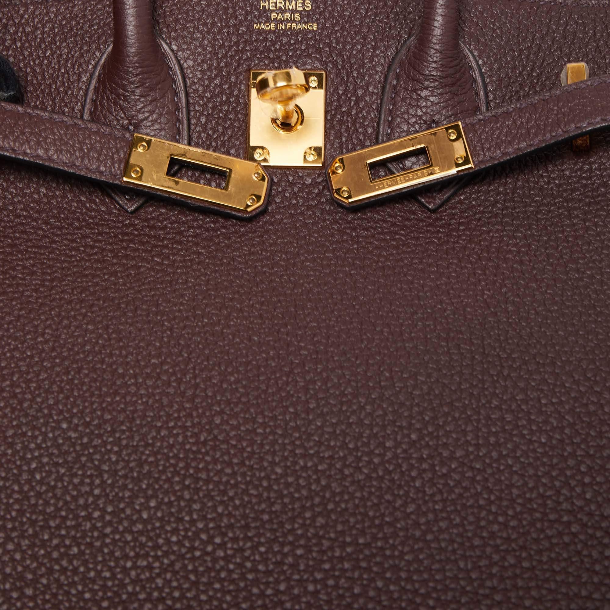 Hermes Rouge Sellier Togo Leather Gold Finish Birkin 25 Bag 4
