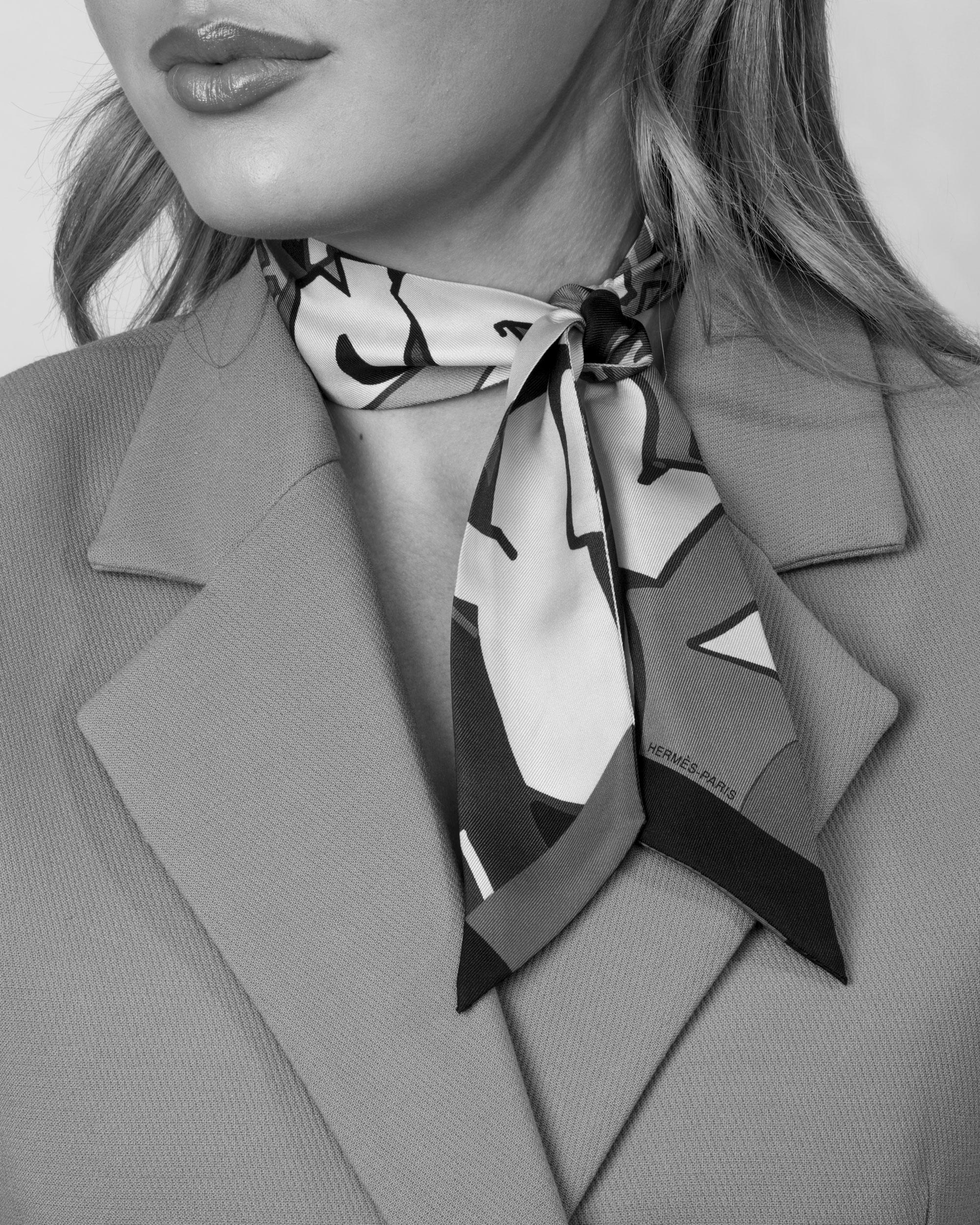 Hermès ROUGE & VERT LA MAISON DES CARRÉS SILK TWILLY 2