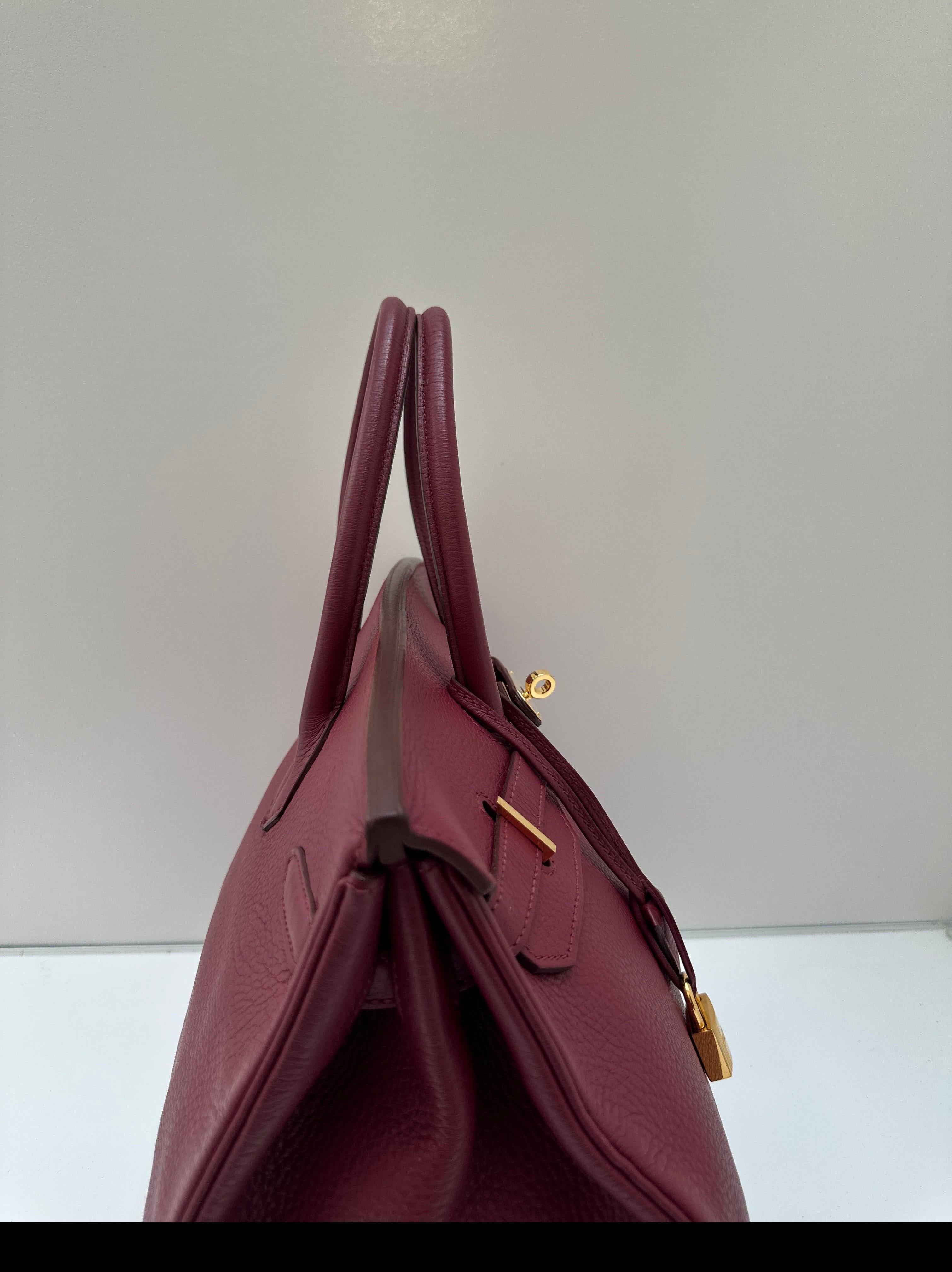 Hermes Rubis Birkin 35 Bag For Sale 14