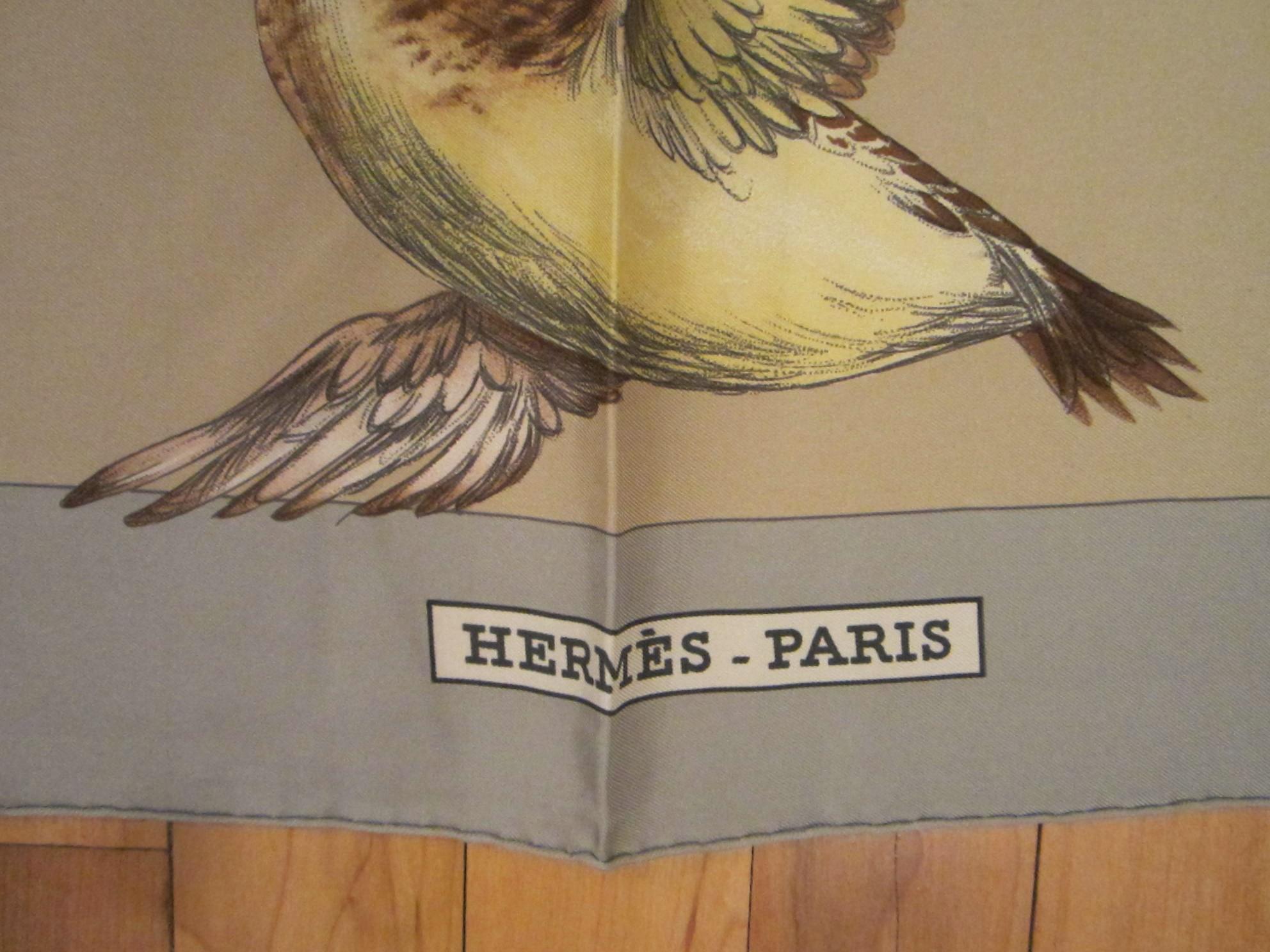 hermes duck scarf