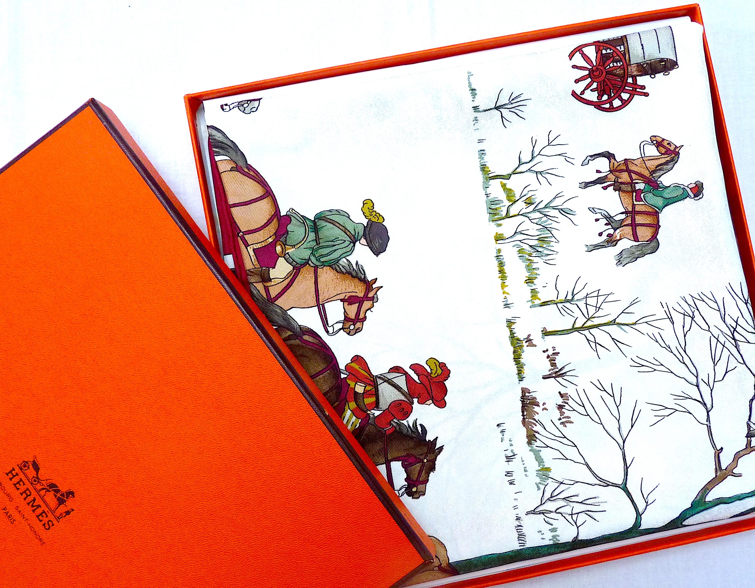 Gorgeous Hermes Scarf 