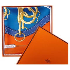 Hermes Scarf BRAND NEW with Hermes Box "Lift Profilé" by Shan Merry