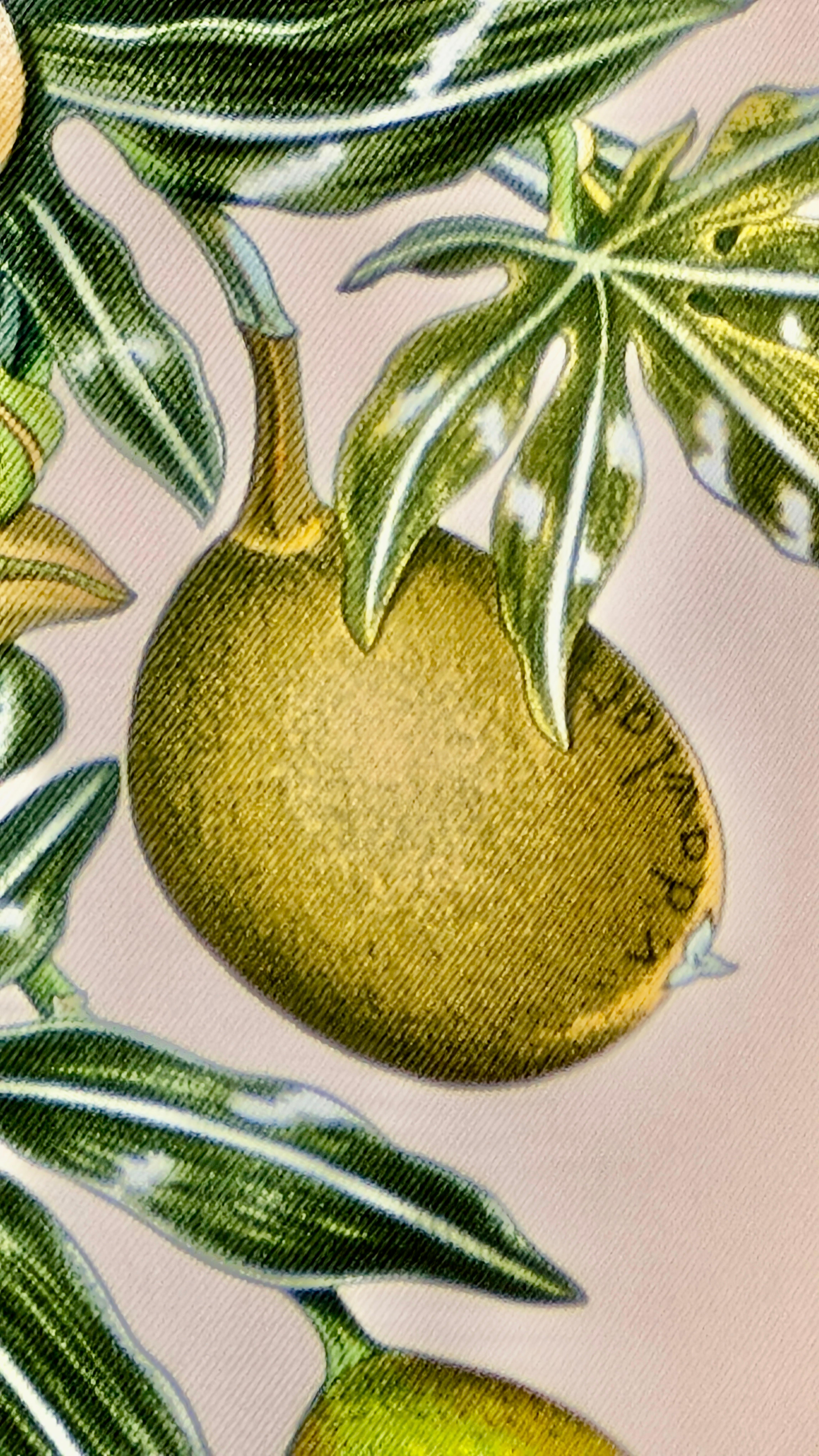 HERMÈS bufanda PASSIFLORES en venta 4