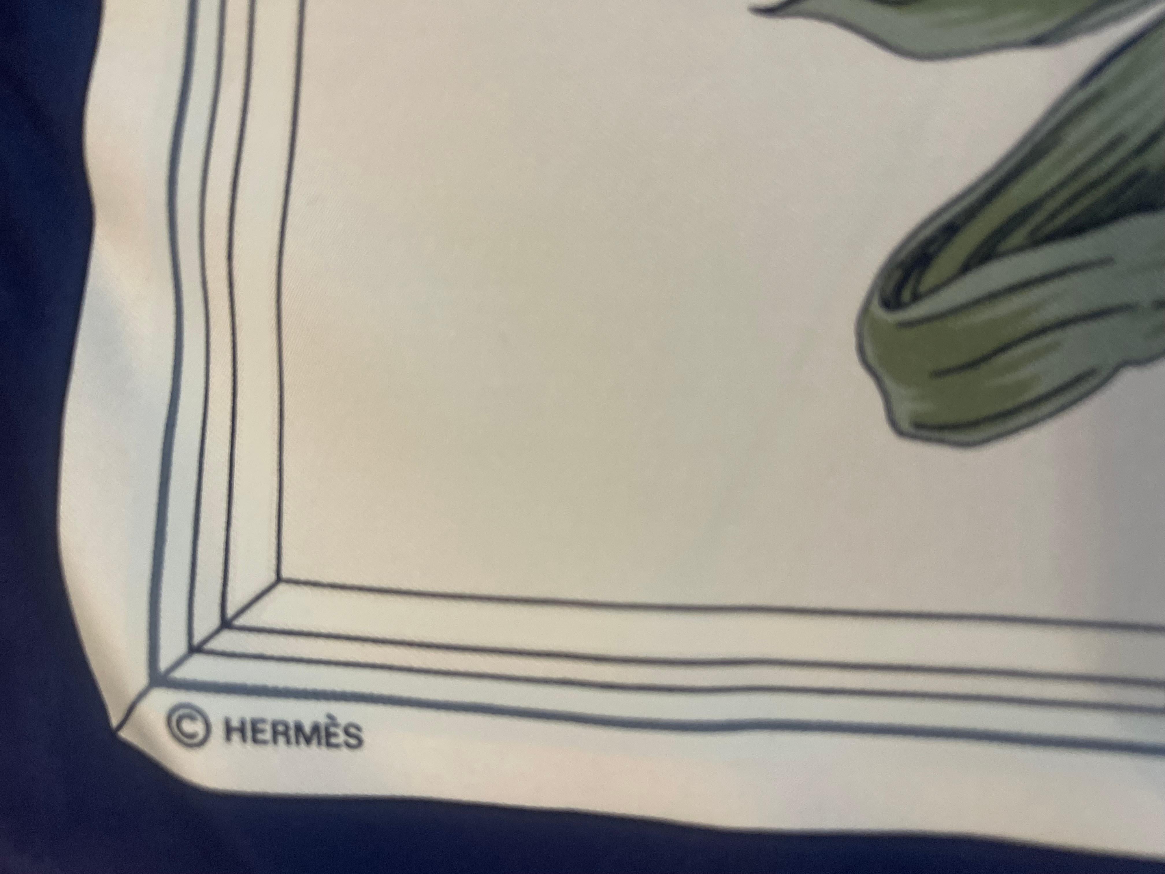 Hermès Scarf 