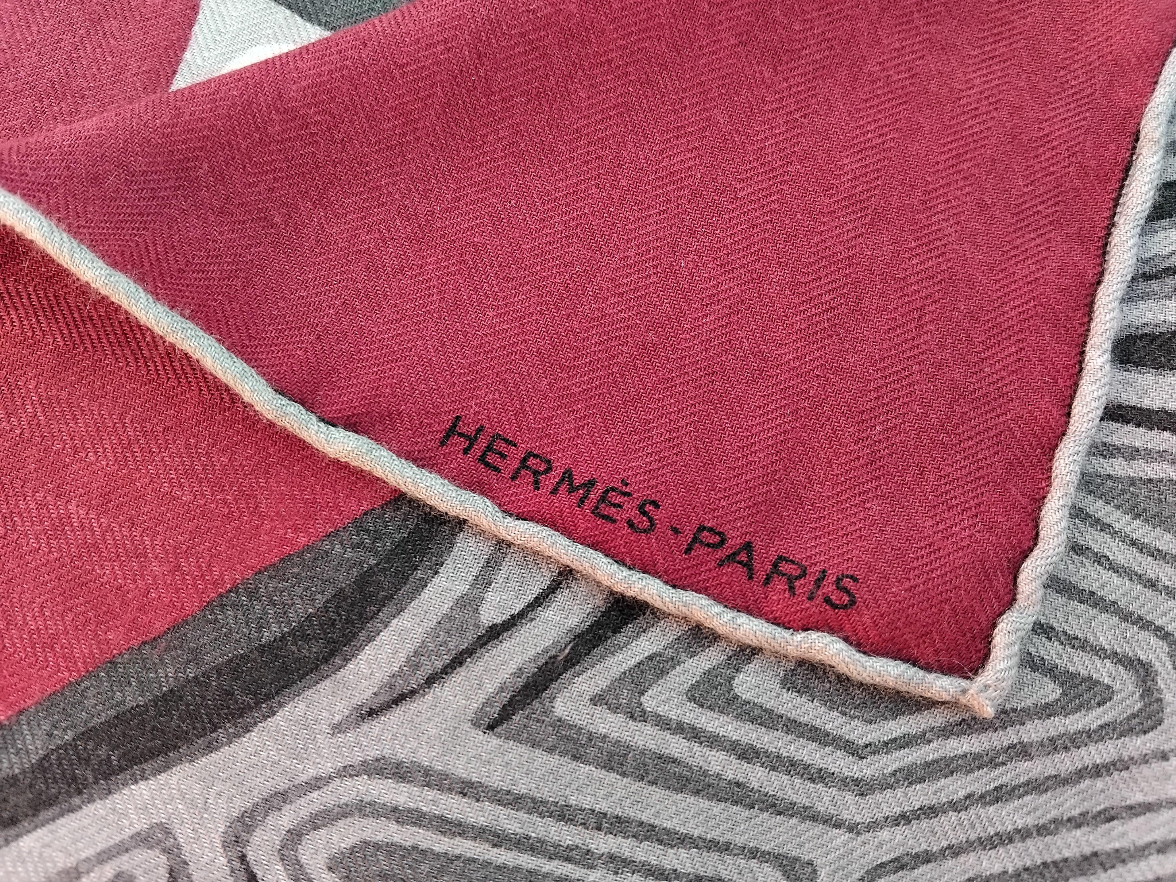 Hermès Scarf Shawl AAAAARGH! T-Rex Dinosaur Shirley Cashmere 100 cm For Sale 6
