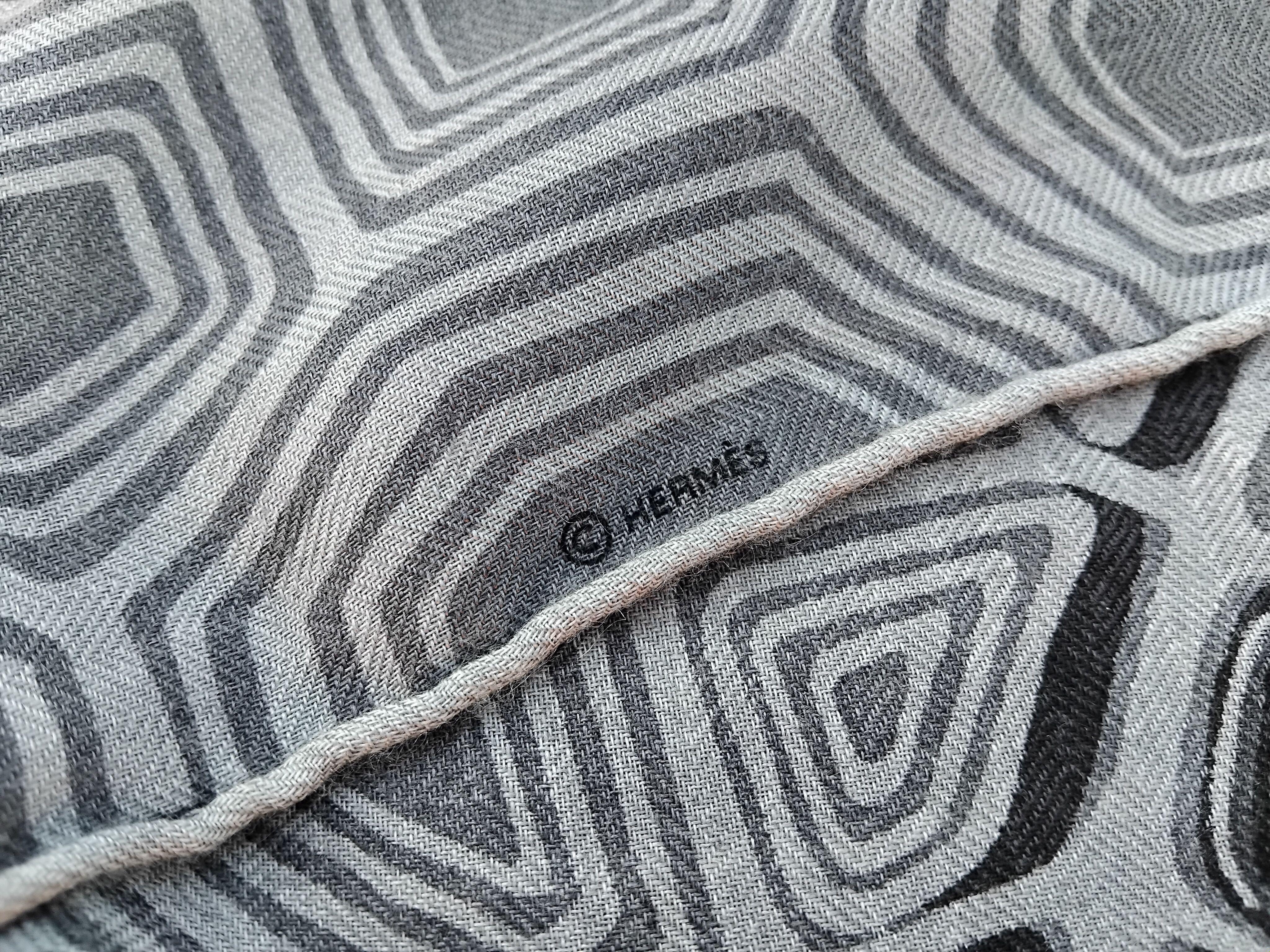 Hermès Scarf Shawl AAAAARGH! T-Rex Dinosaur Shirley Cashmere 100 cm For Sale 7