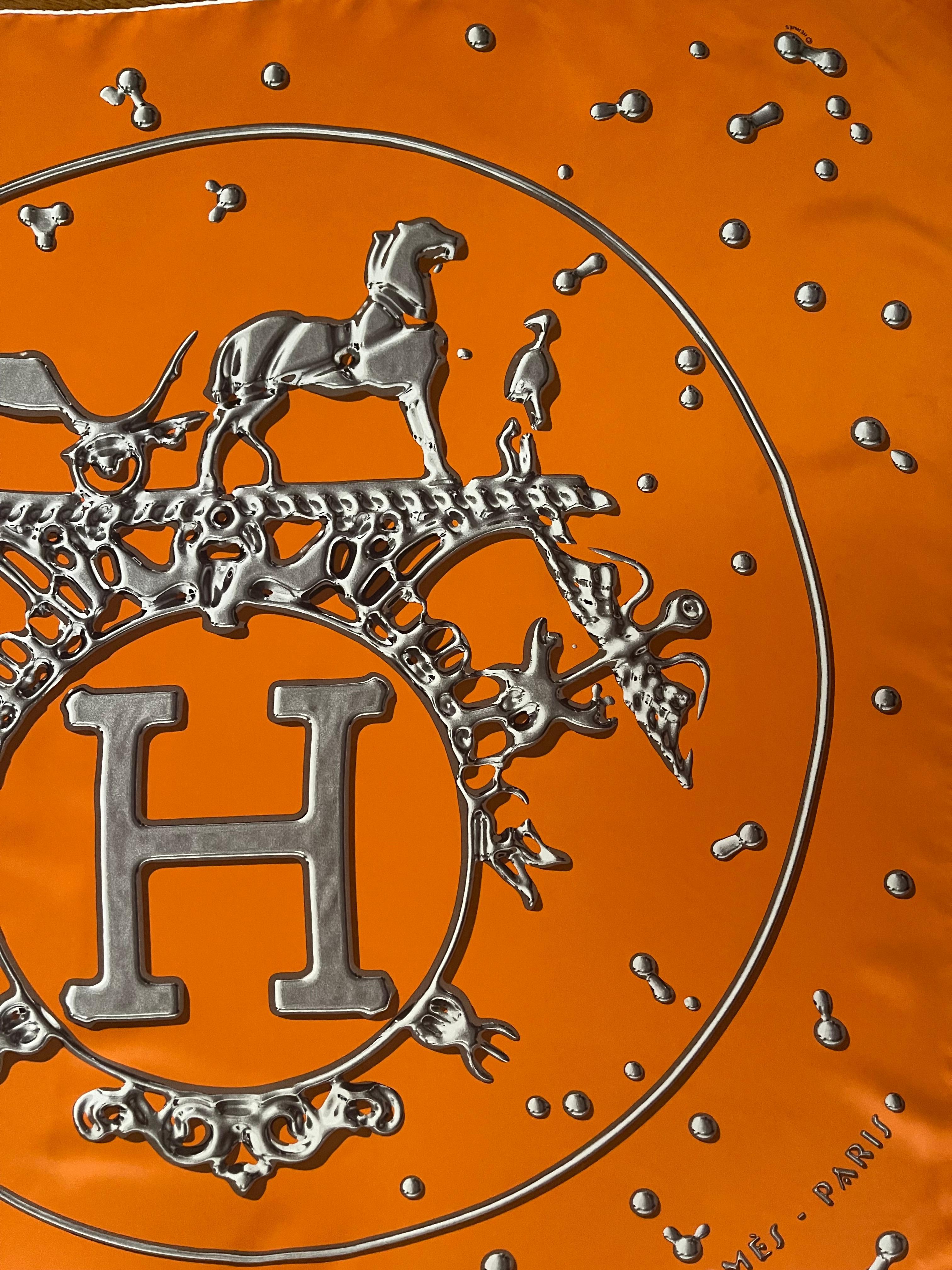 Hermès Scarf 