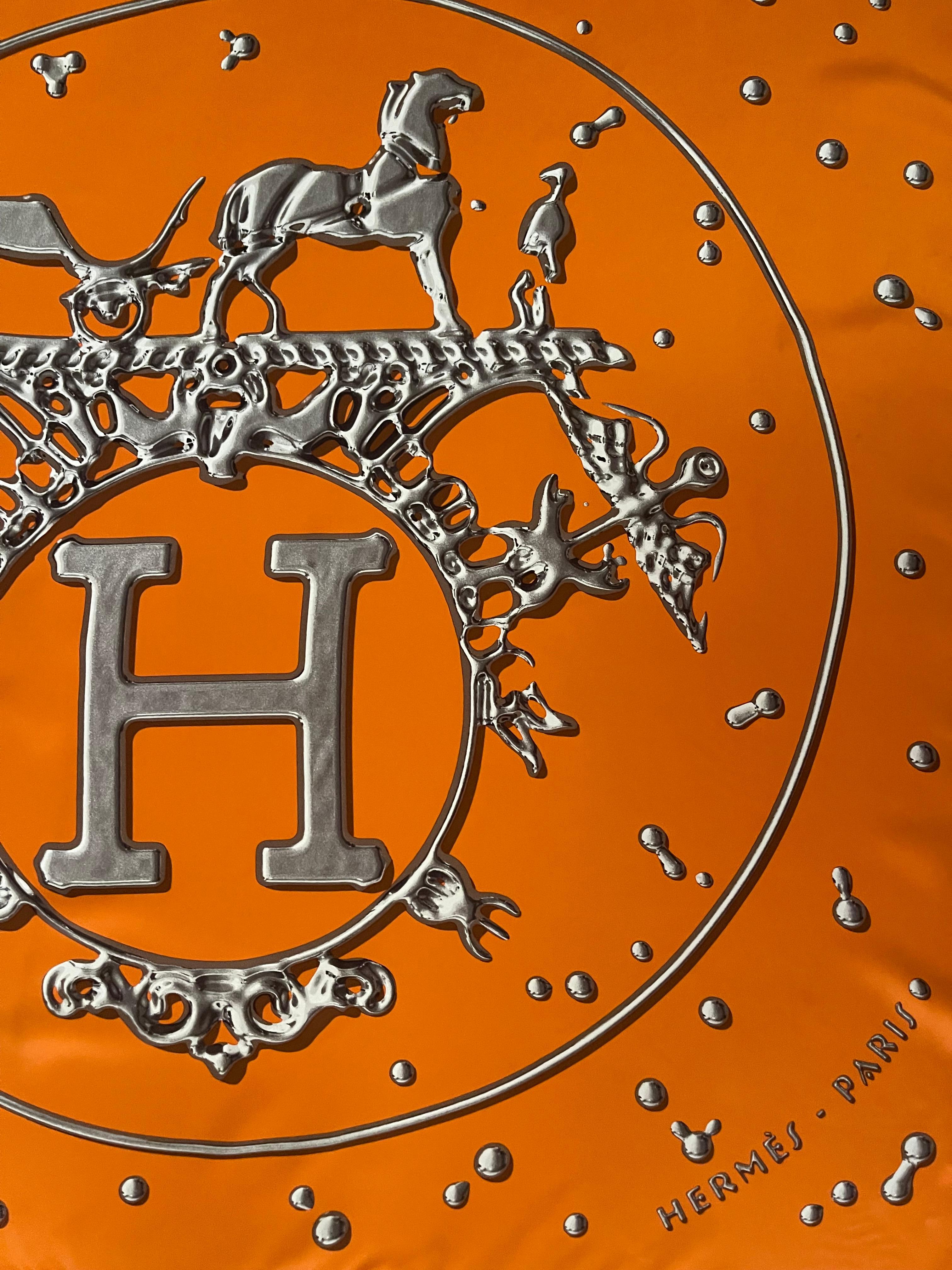 Hermès Scarf 