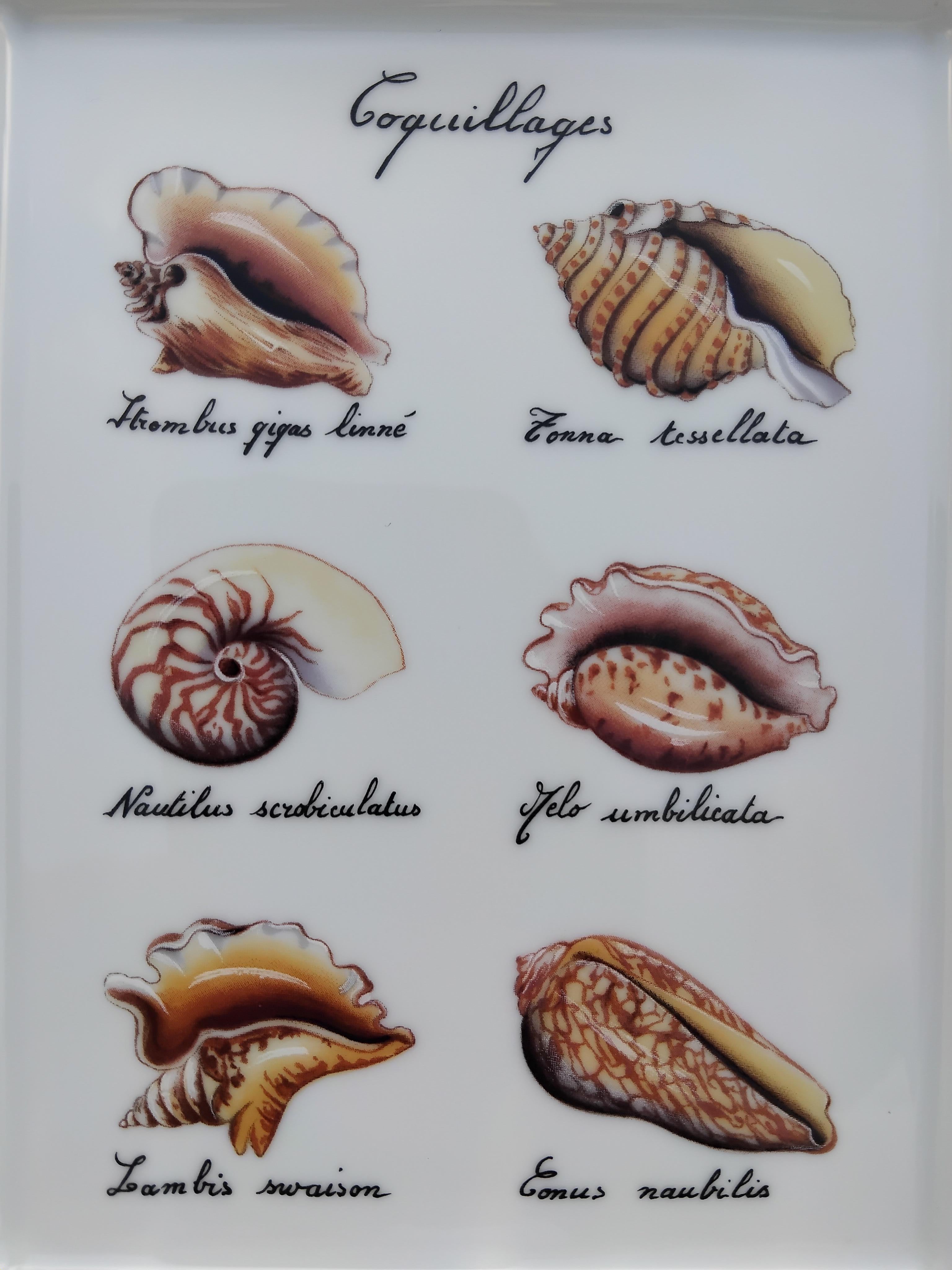 Beautiful Authentic Hermès Ashtray

Print: 6 seashells and their names in Latin

Made in France

Made of Porcelain

Colorways: White, Light Blue, Beige, Brown, Pale Yellow

Beige suede leather at bottom, 