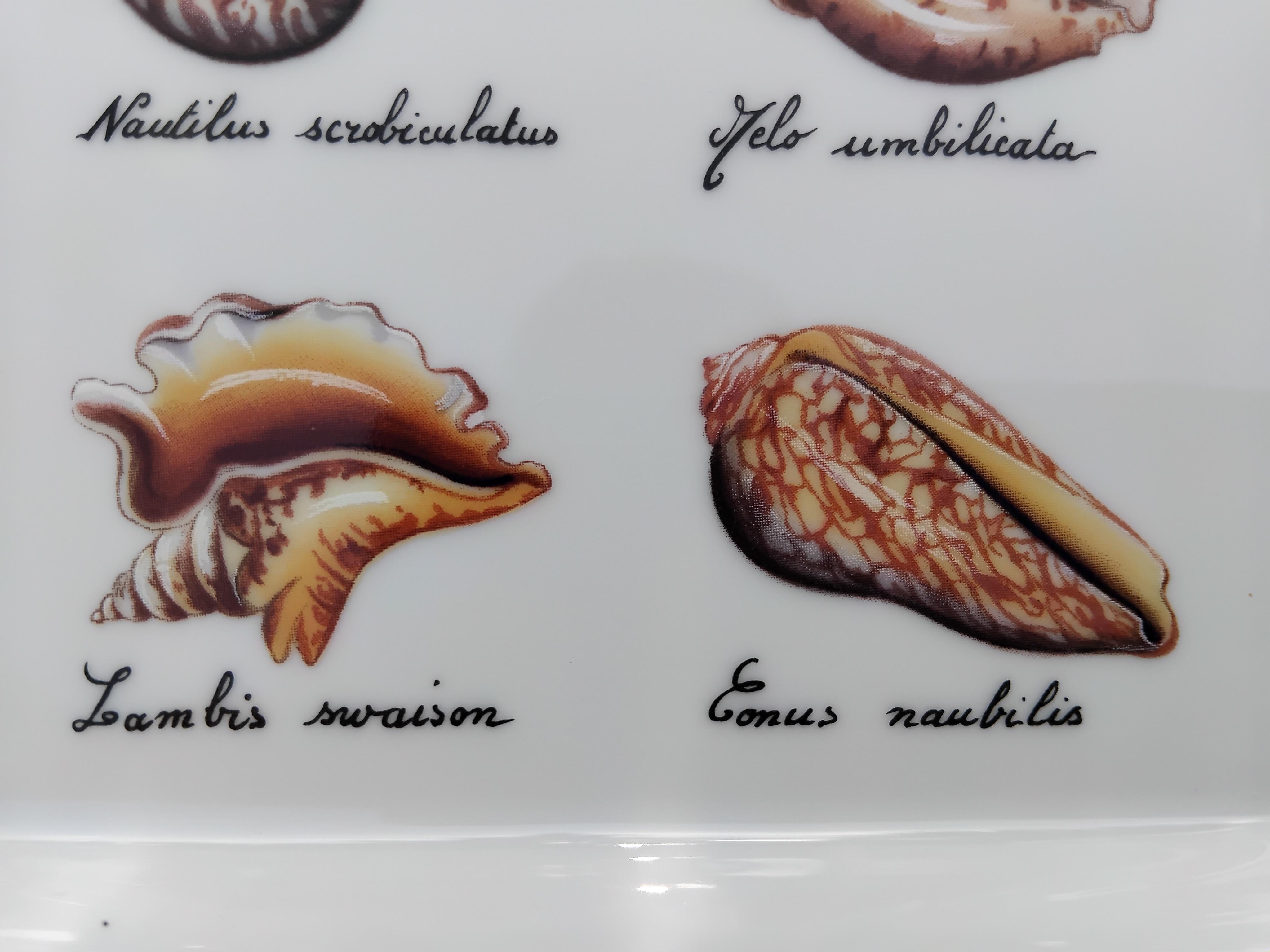 Women's or Men's Hermès Seashells Print Vintage Porcelain Ashtray Change Tray Porcelain