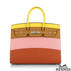 Hermès Sellier Birkin 35 Rainbow Sunrise Epsom PHW