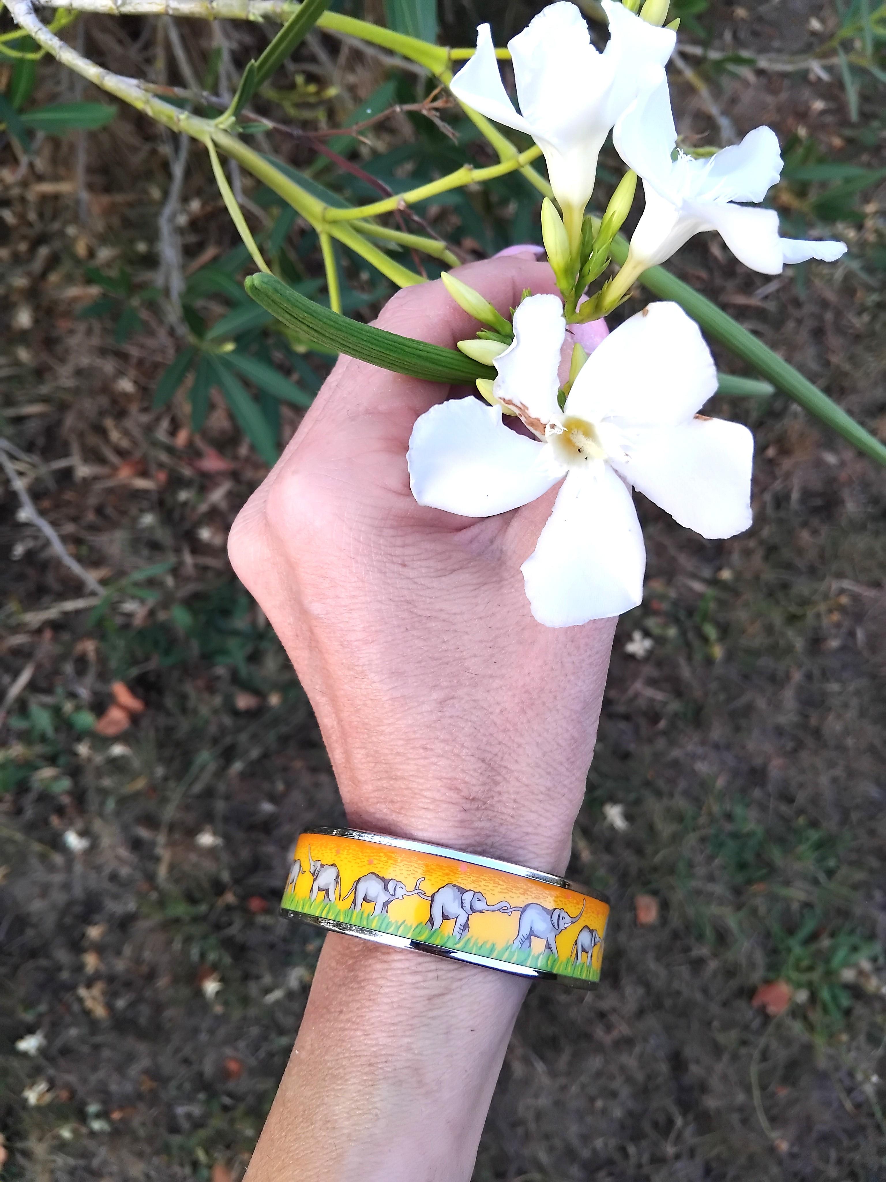 Extremadamente Raro y Precioso Conjunto de Joyas Hermès Auténtico

El conjunto incluye una pulsera y 2 pendientes de clip a juego (se adaptan a pendientes no perforados)

Imprime: Elefantes pastando

Pulsera fabricada en Austria 

Letra F para