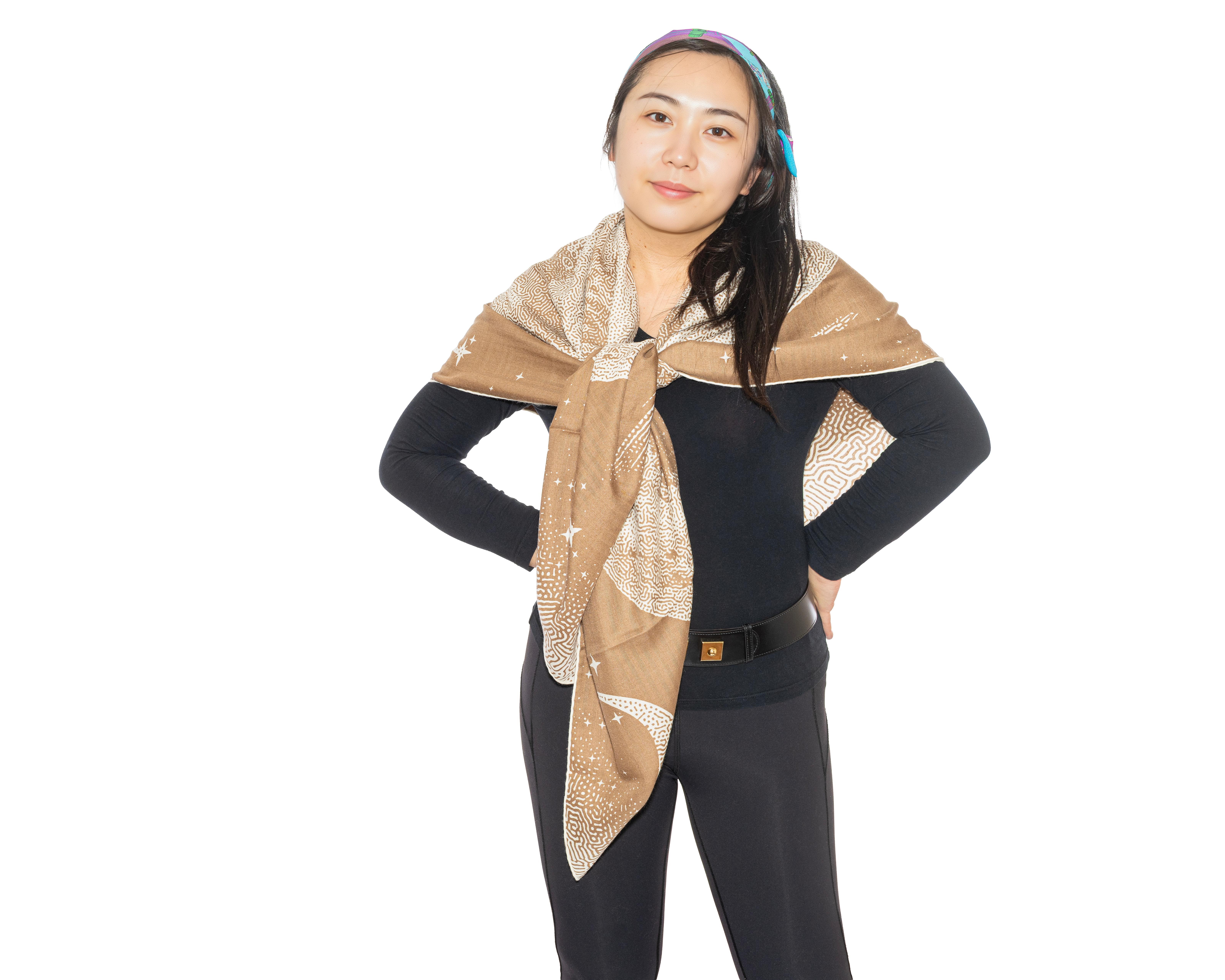 Scialle Hermes Clair de Lune - CS140 - Camel - Blanc - Nuova Etichetta del Negozio 9